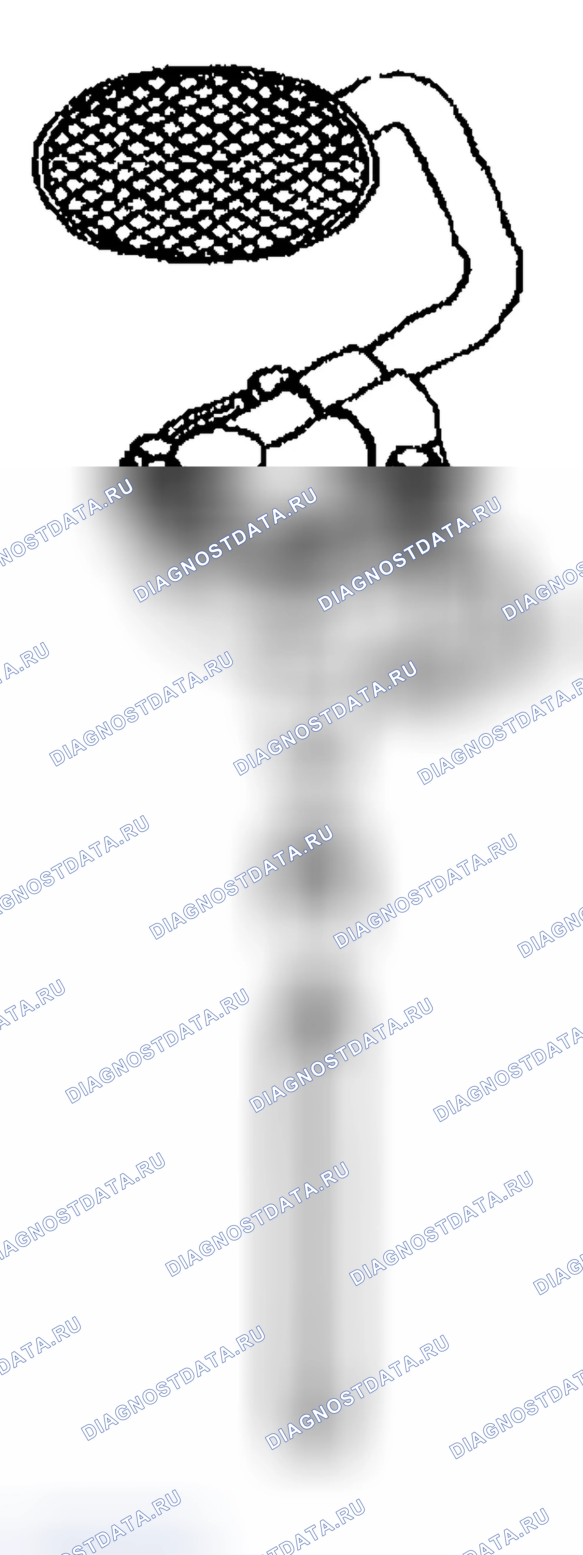 Рис. 769. Chevrolet Silverado 1500 HD 