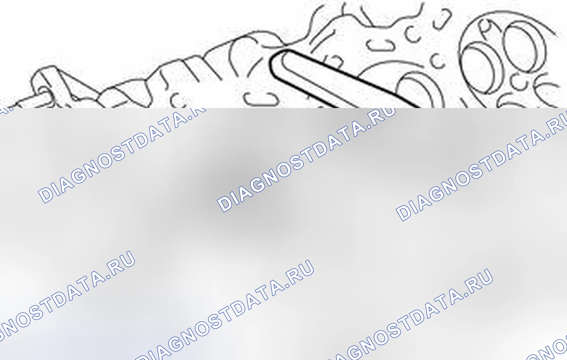 Рис. 356: РЕМОНТ [06 / 2012 -]. Haval H3 I