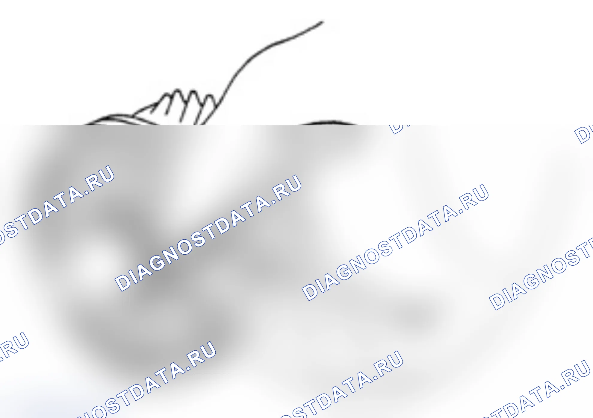 Разборка / установка — Great Wall King-Kong-Cannon. Great-Wall King Kong Cannon I