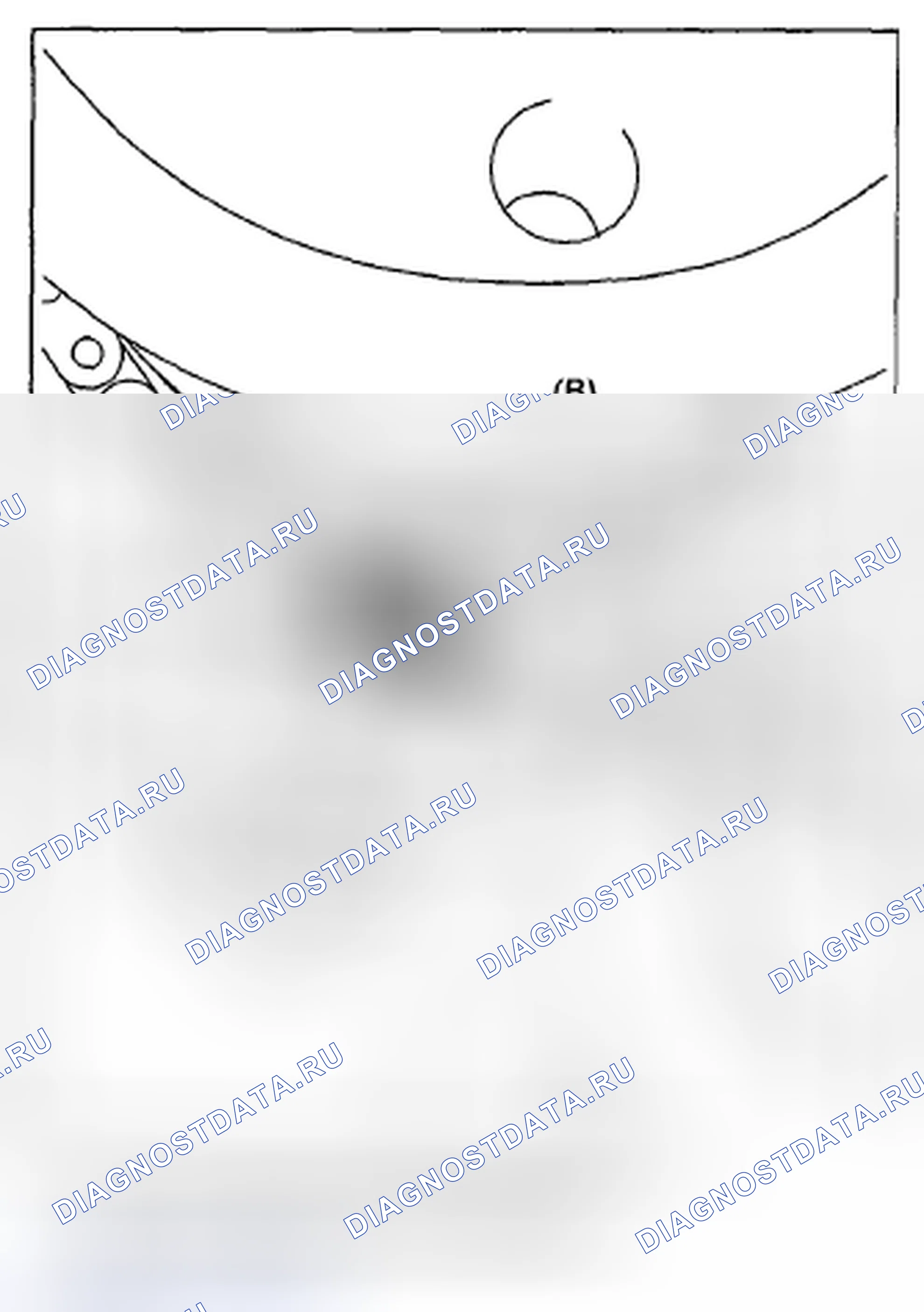 Рис. 89. Subaru Tribeca WX рестайлинг