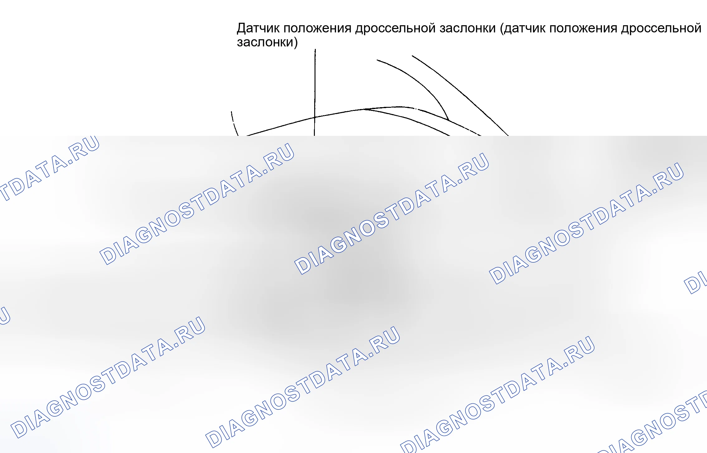 Рис. 3: Расположение компонентов (3 из 4). Toyota MR2 W20