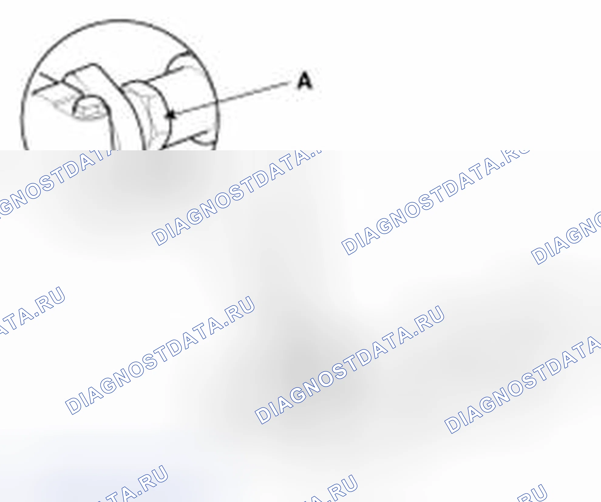 Рис. 210. Haval Beast (Shenshou) I