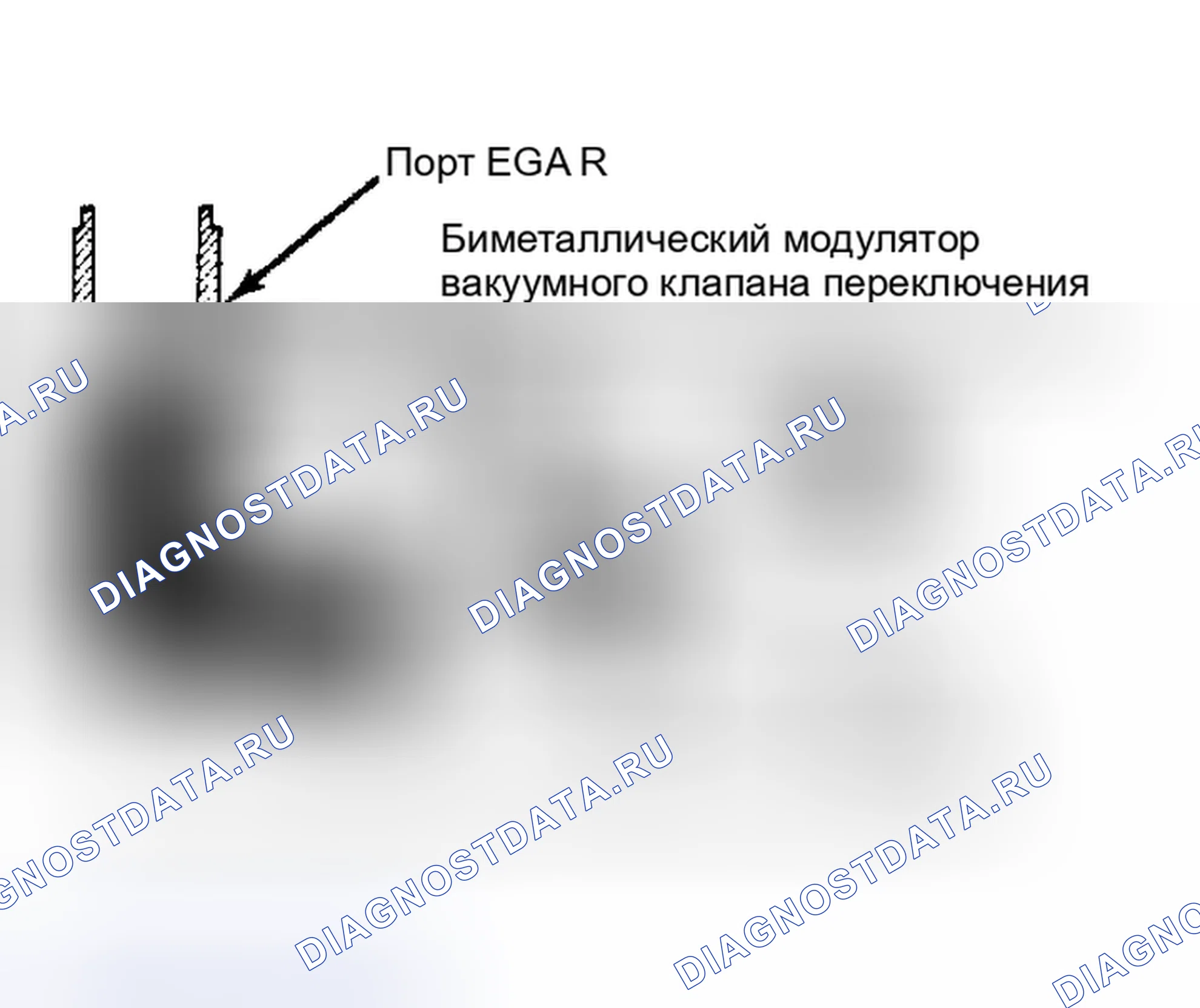 Рис. 21: Система рециркуляция отработавших газов (федеральный карбюраторный пикап и 4Runner). Toyota 4Runner I