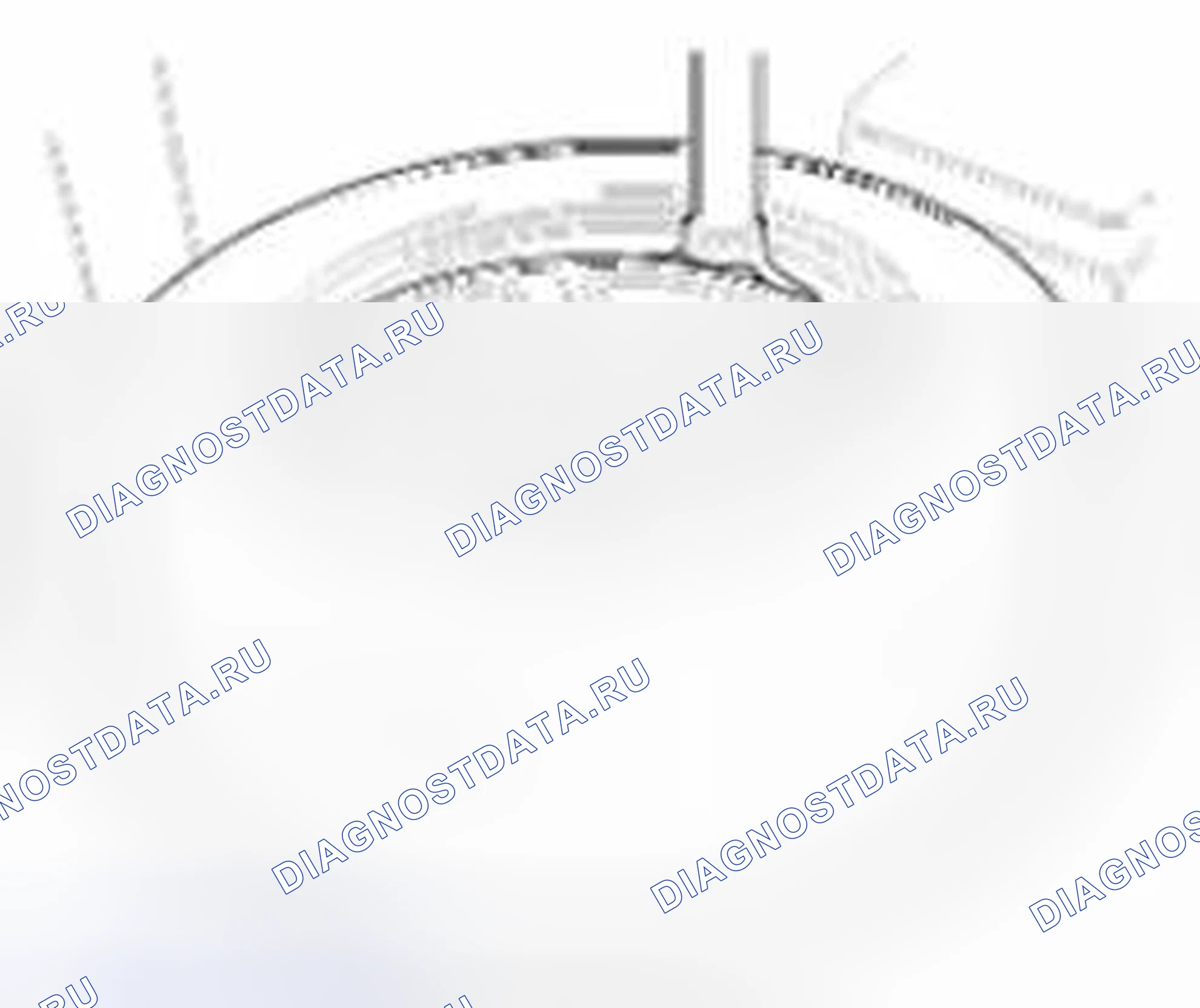 Рис. 18. Geely Vision X3 Pro I