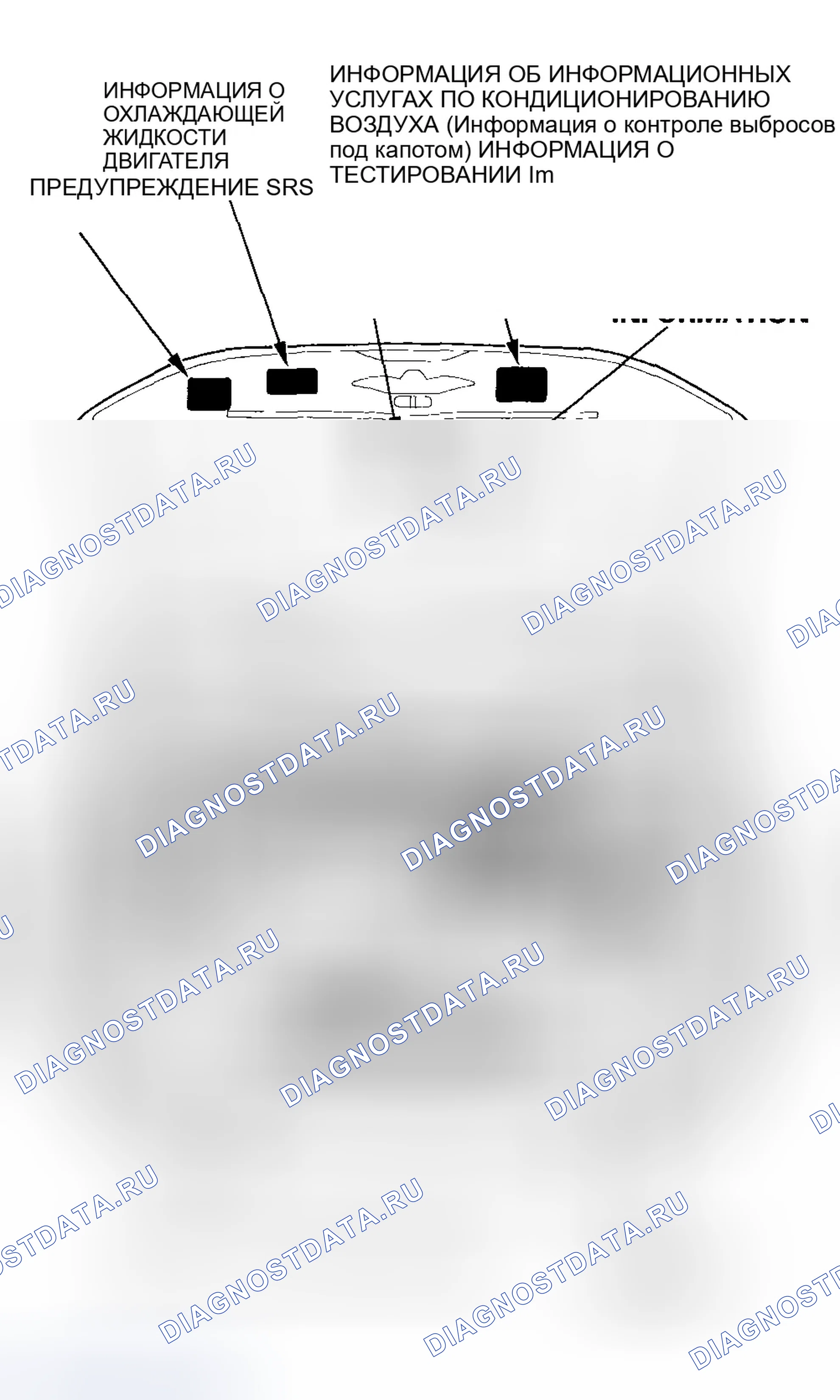 Рис. 9. Honda Element YH2
