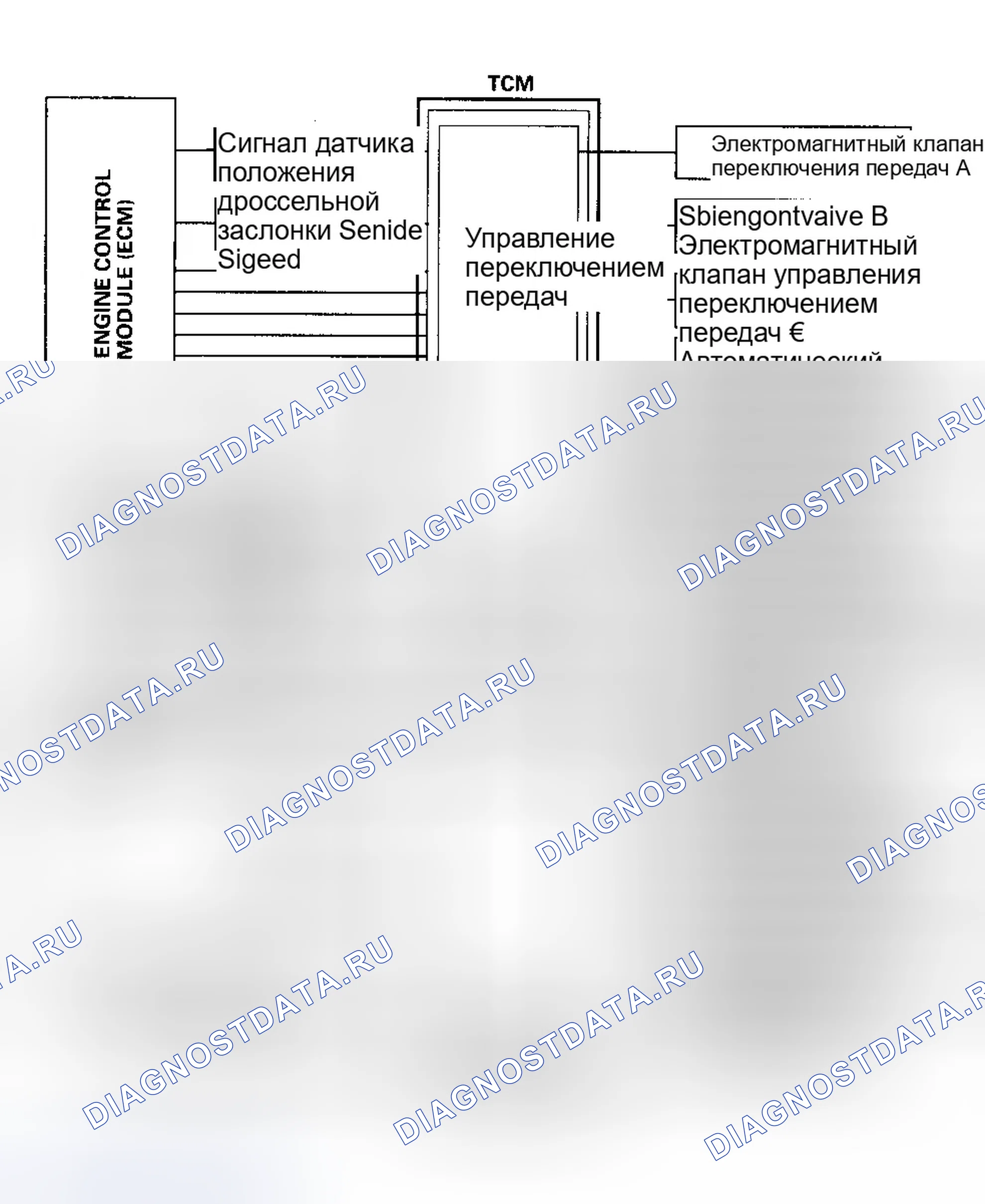 Рис. 32: Датчик скорости транспортного средства (датчик скорости автомобиля (VSS) (датчик скорости автомобиля)). Honda Prelude V