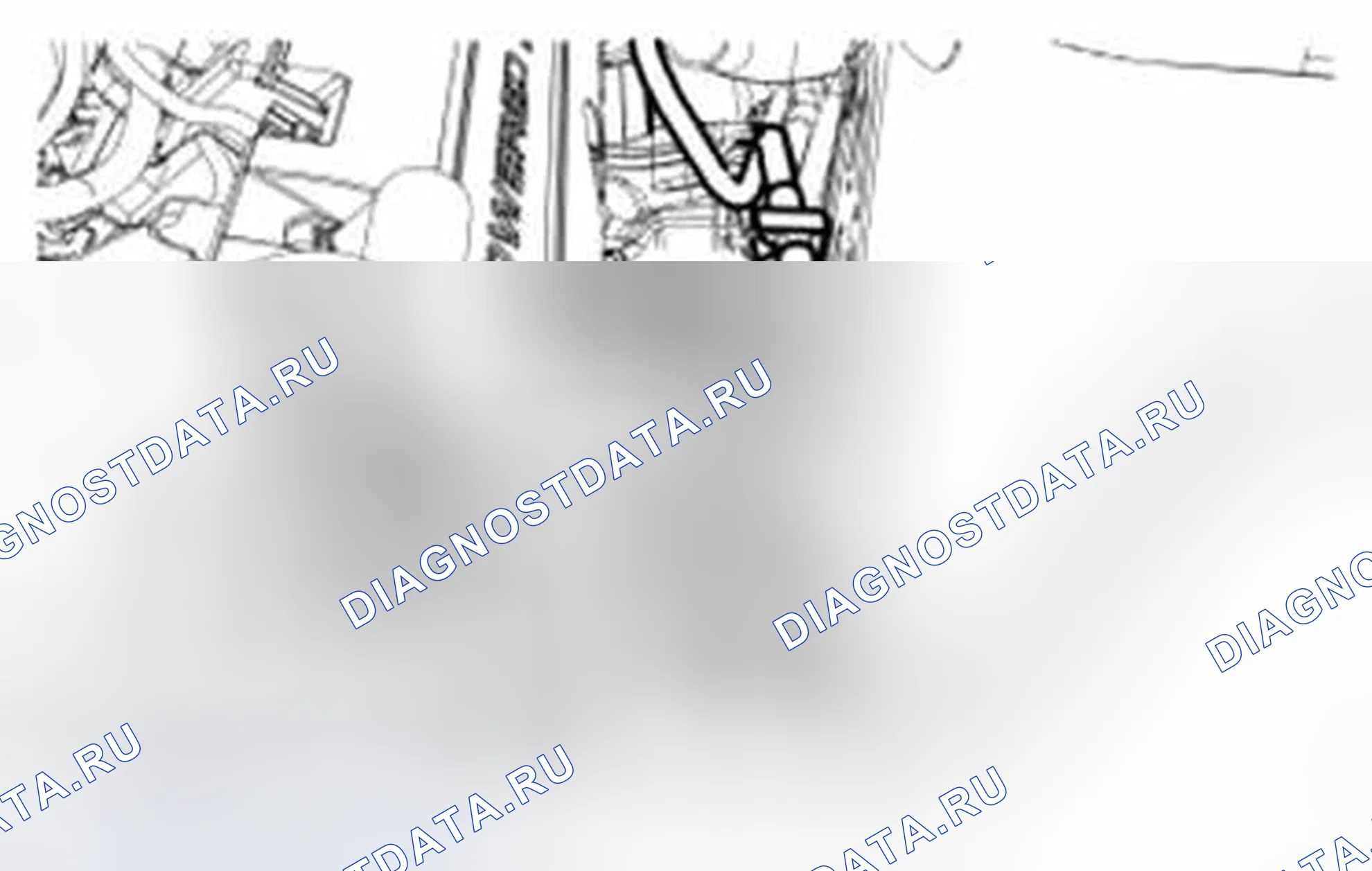 Рис. 1038. Ford Mustang V рестайлинг