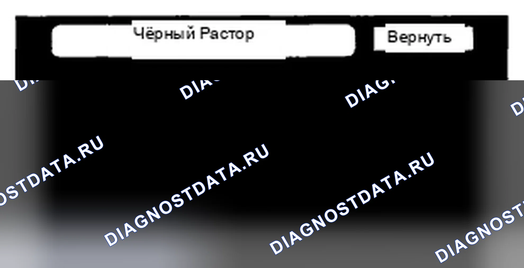 Рис. 342: Черный растр. Honda Accord VIII