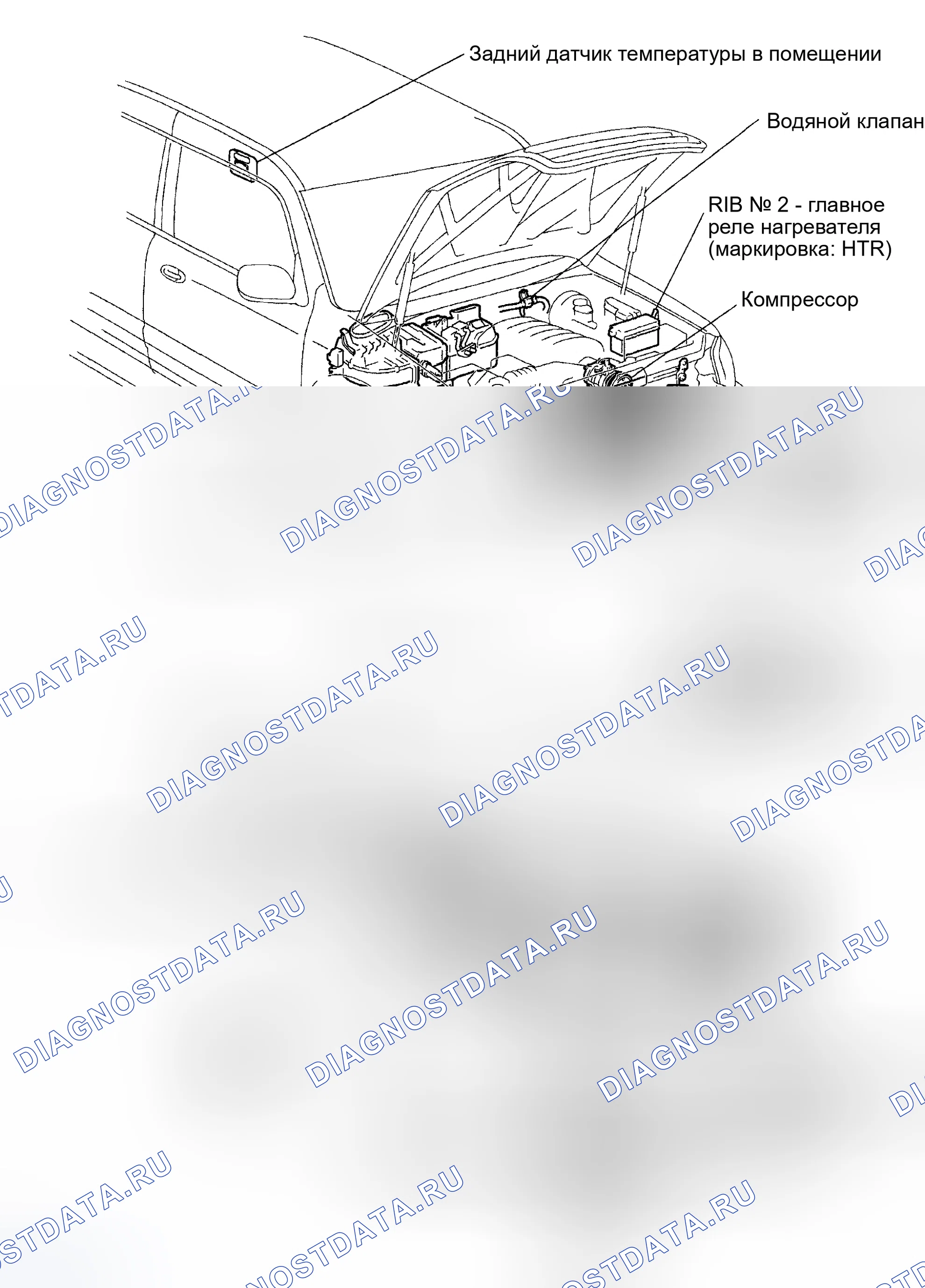 Рис. 150: РАСПОЛОЖЕНИЕ. Toyota Sequoia I рестайлинг