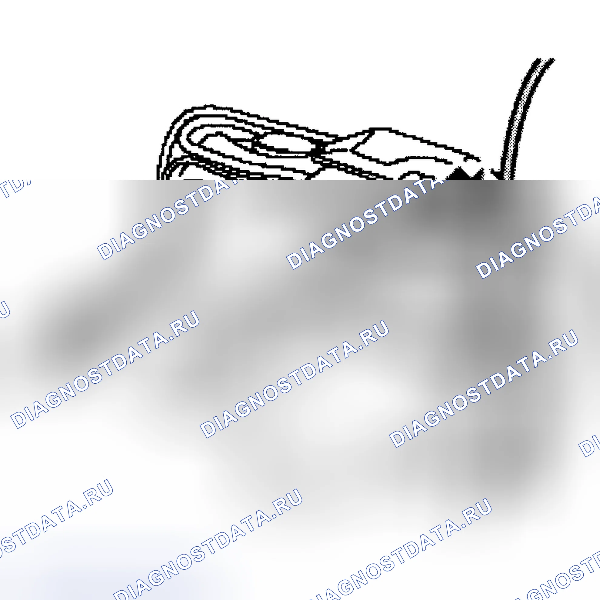 Рис. 29. Land Rover Range Rover III