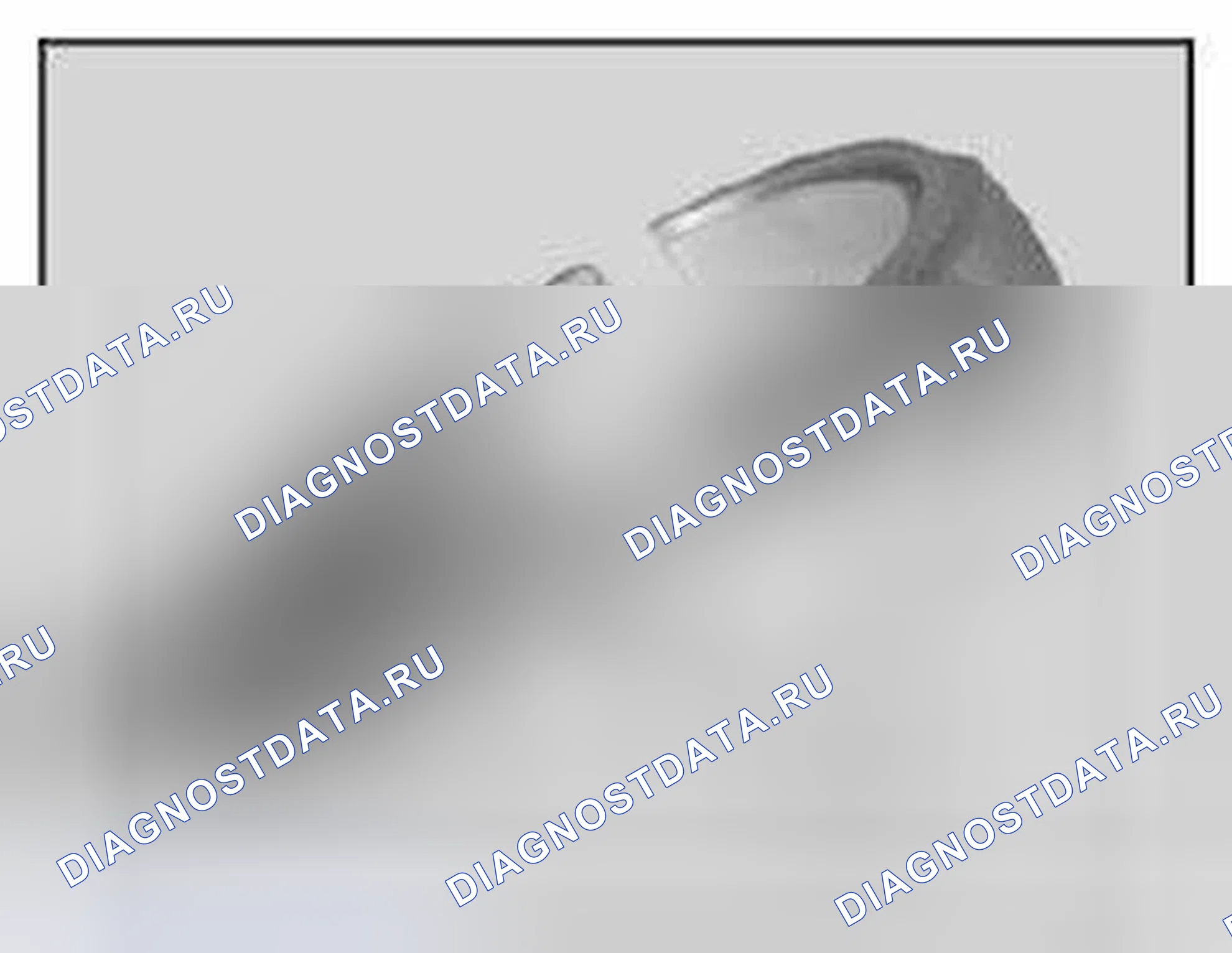 Рис. 273. BMW X3 E83 рестайлинг