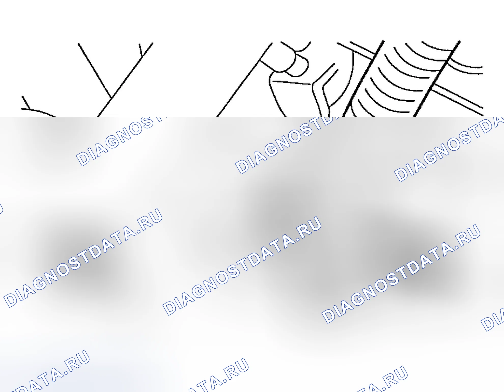 Рис. 553. Ford Explorer Sport Trac I
