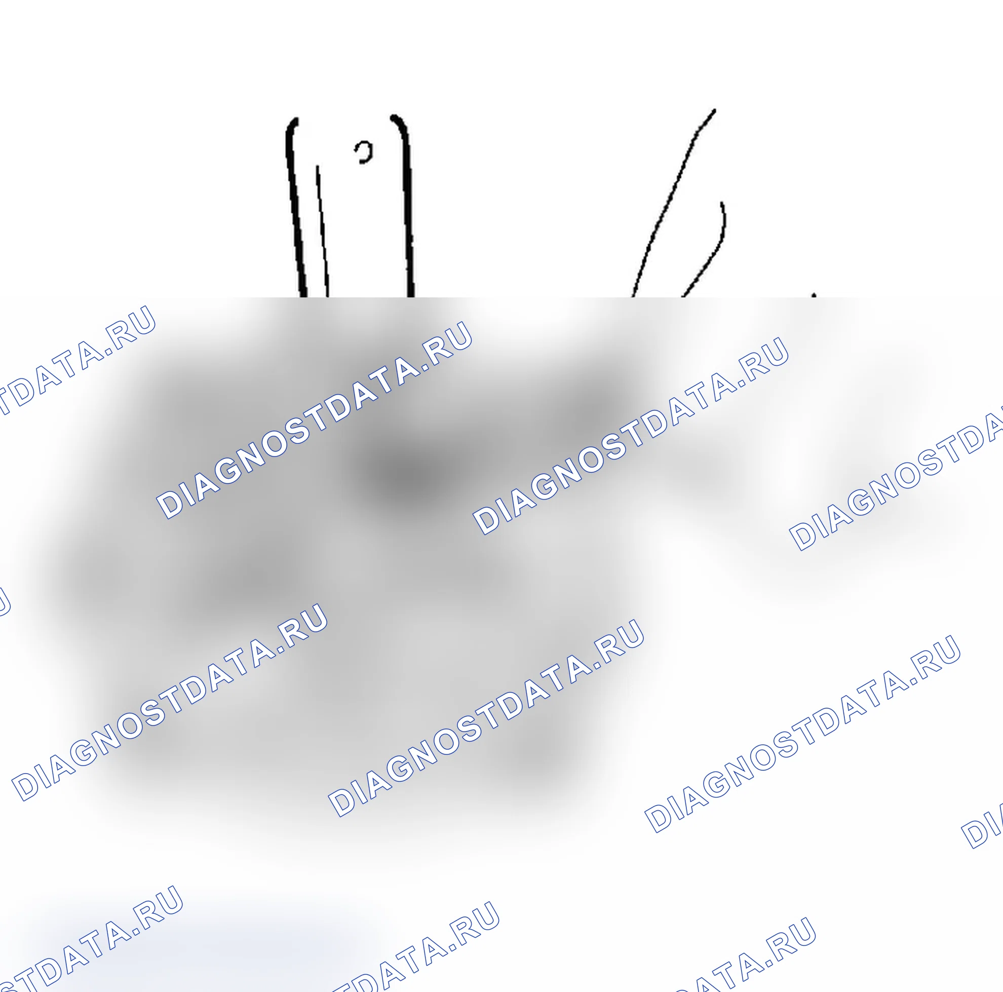 Рис. 19. Subaru Impreza WRX GD/GG рестайлинг