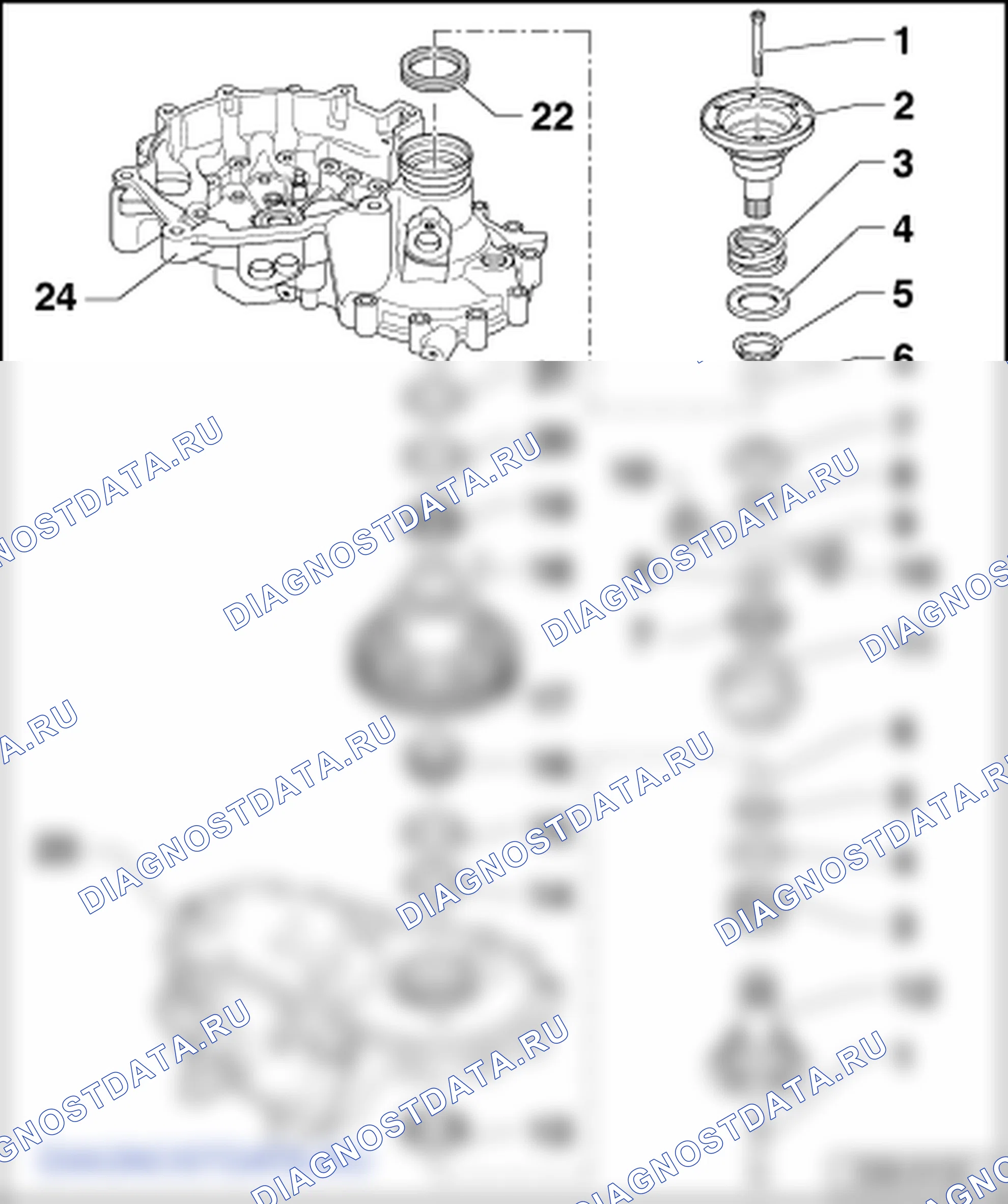 Дифференциал (Коробка передач 0AF). Skoda Octavia Ii