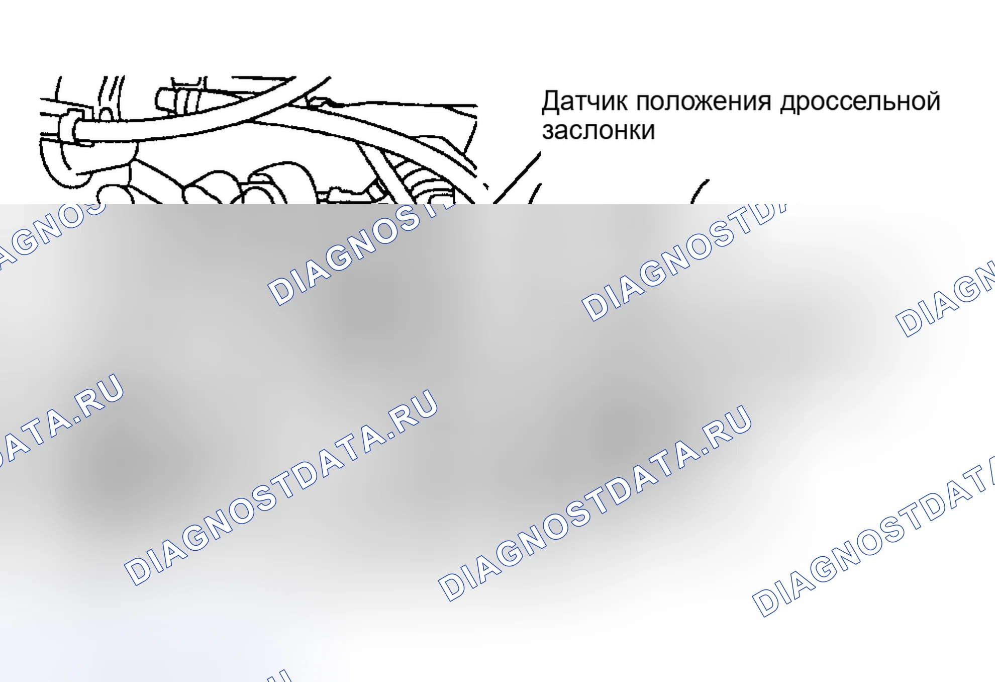 Рис. 11. Infiniti I30 II