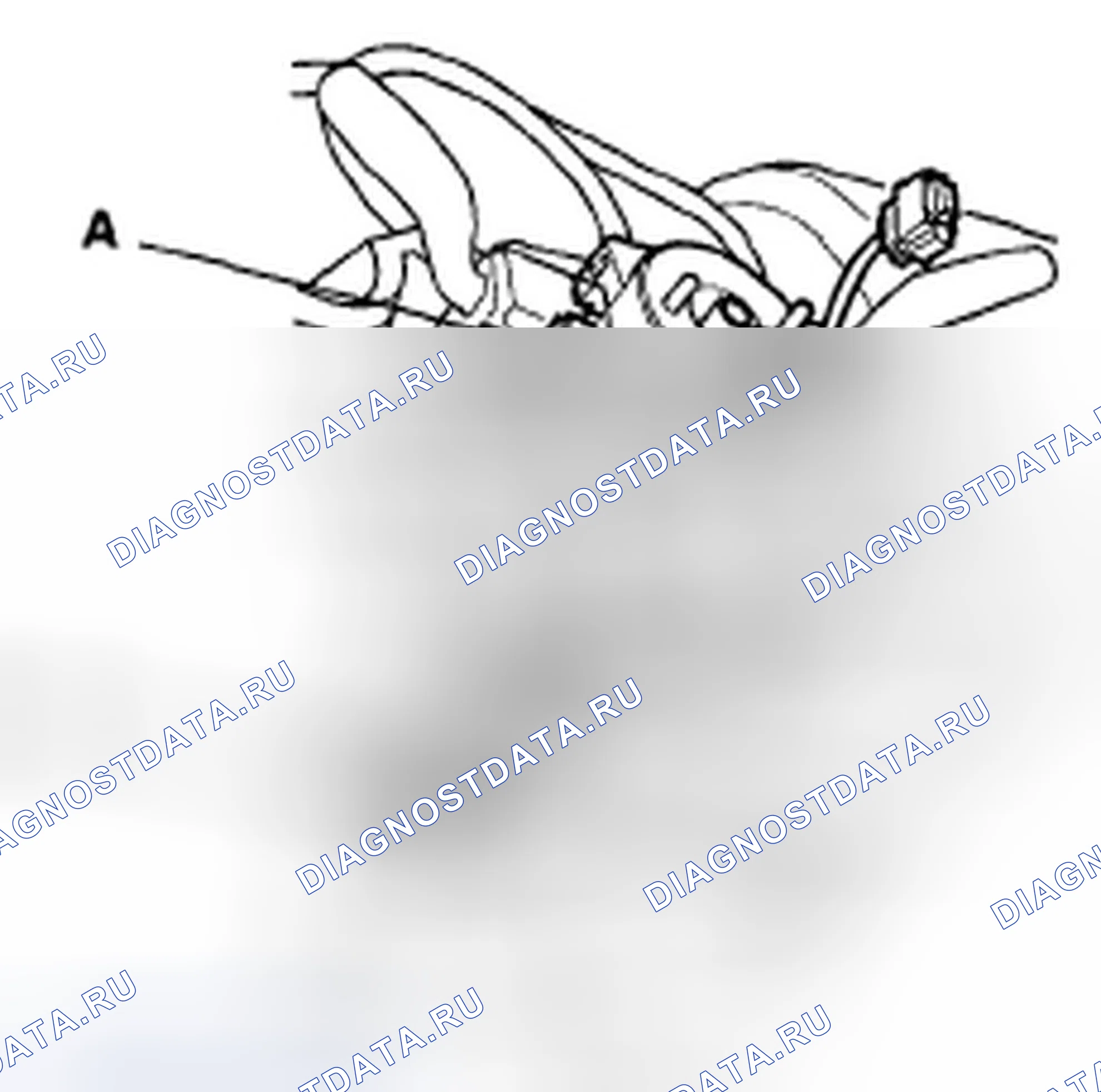 Рис. 301. Honda Element YH2 рестайлинг 2