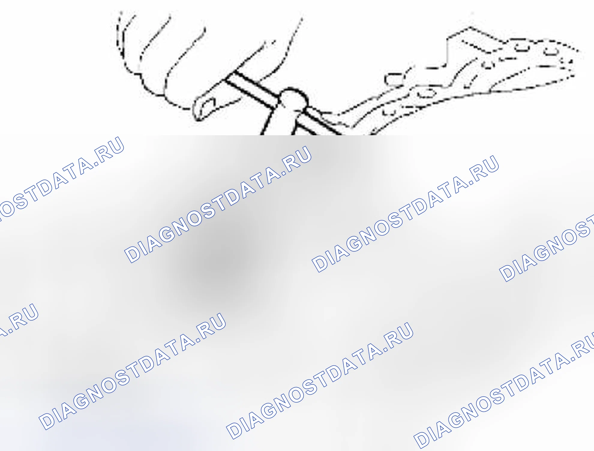 Рис. 342. Suzuki Equator I