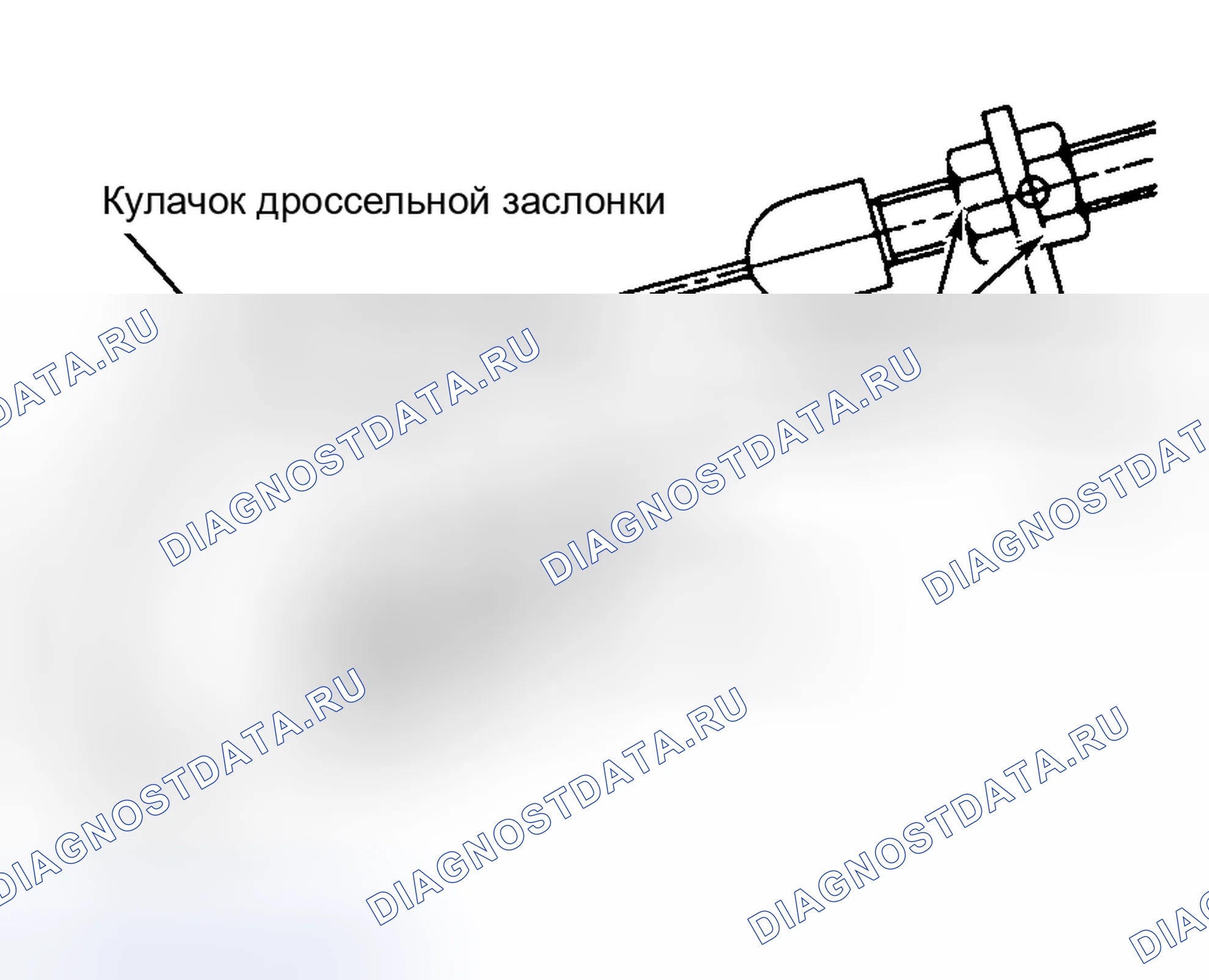 Рис. 3. Subaru Legacy BC/BJ/BF