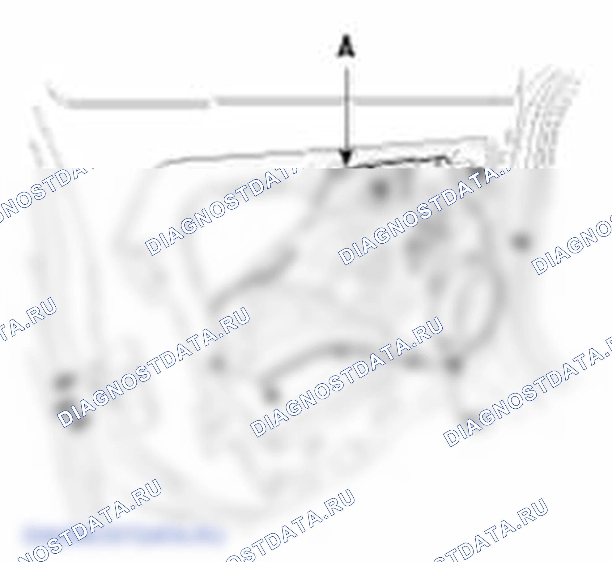 Рис. 42. Kia Soul I