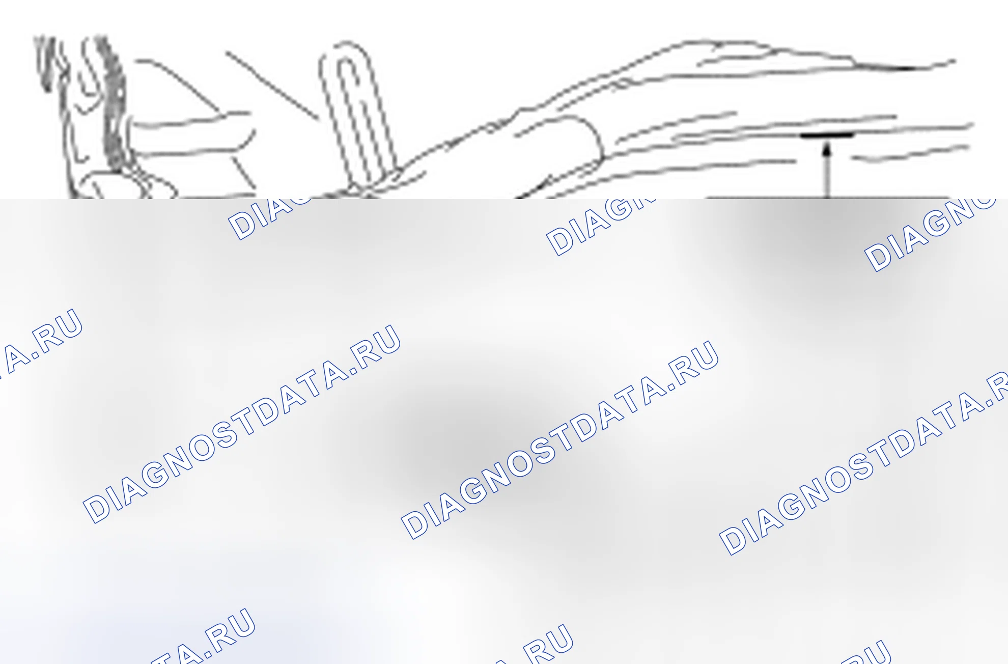 Рис. 11. Ford F-150 XII