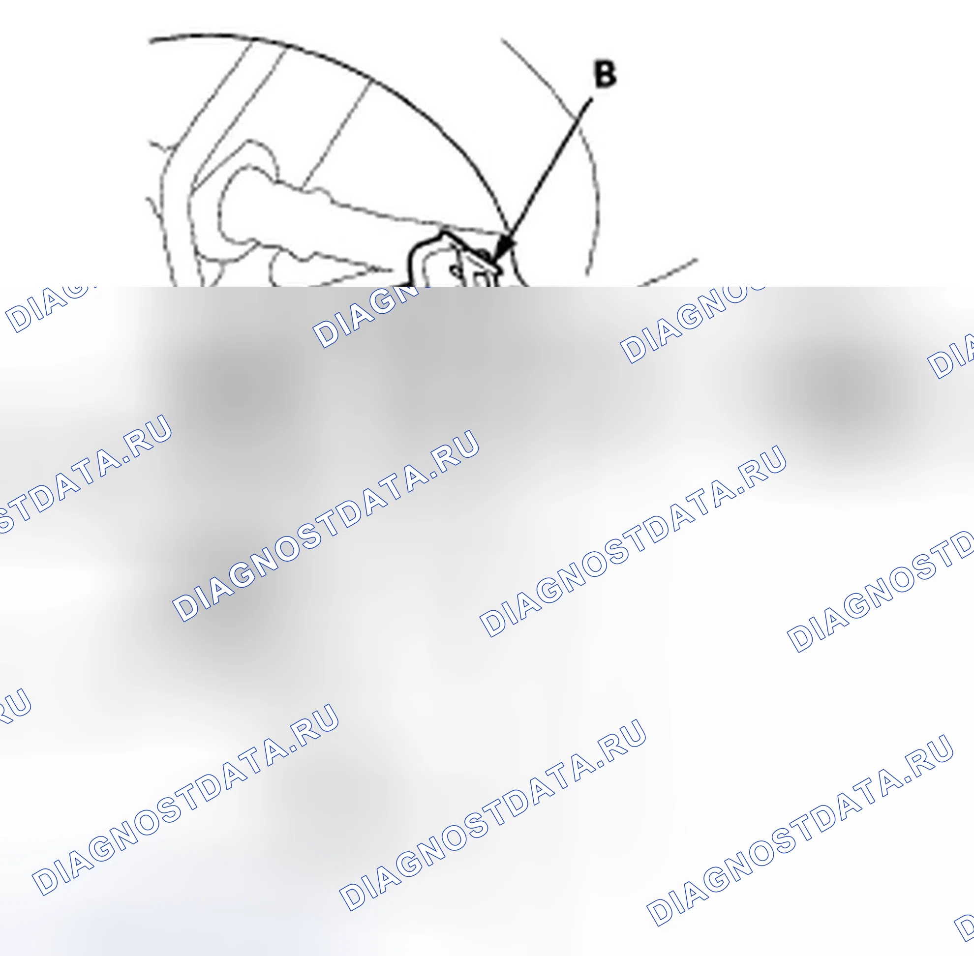 Рис. 254: МКПП. Honda Accord VIII
