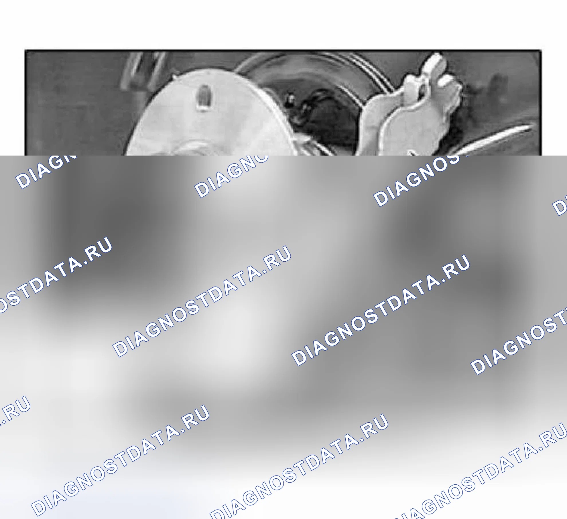 Рис. 205. BMW X3 E83
