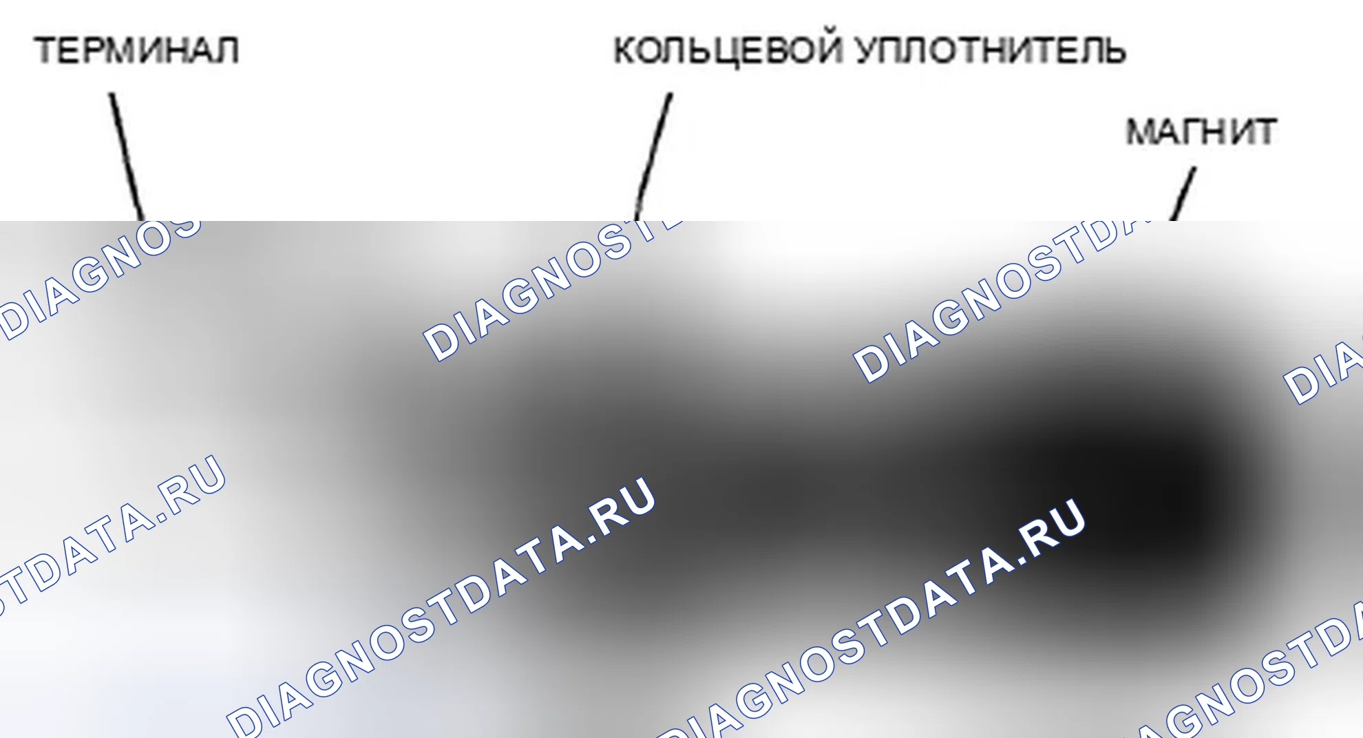 Рис. 36: Датчик положения коленчатого вала (Ckp). Honda CR-V III рестайлинг