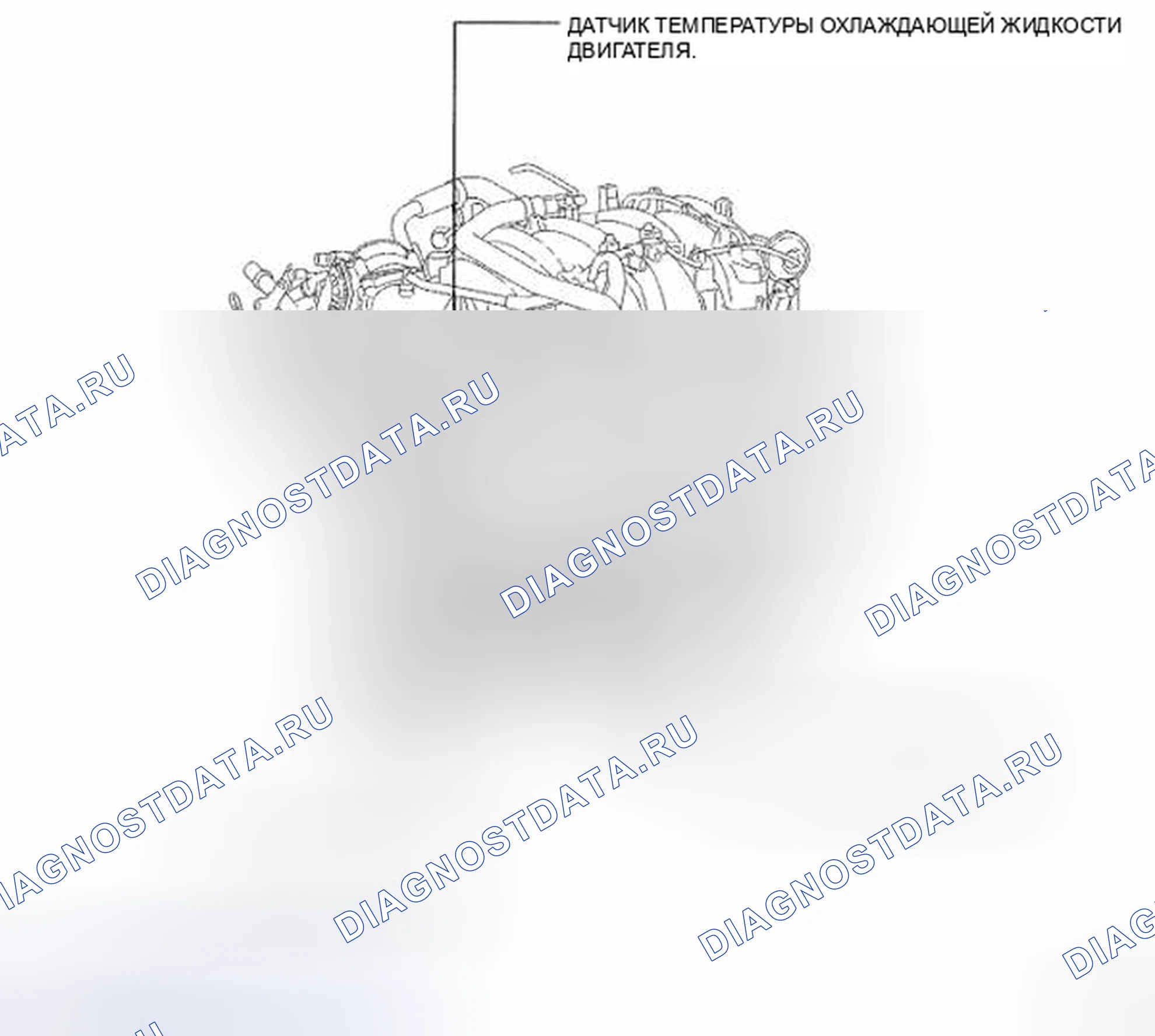 Рис. 6. Toyota Land Cruiser 200