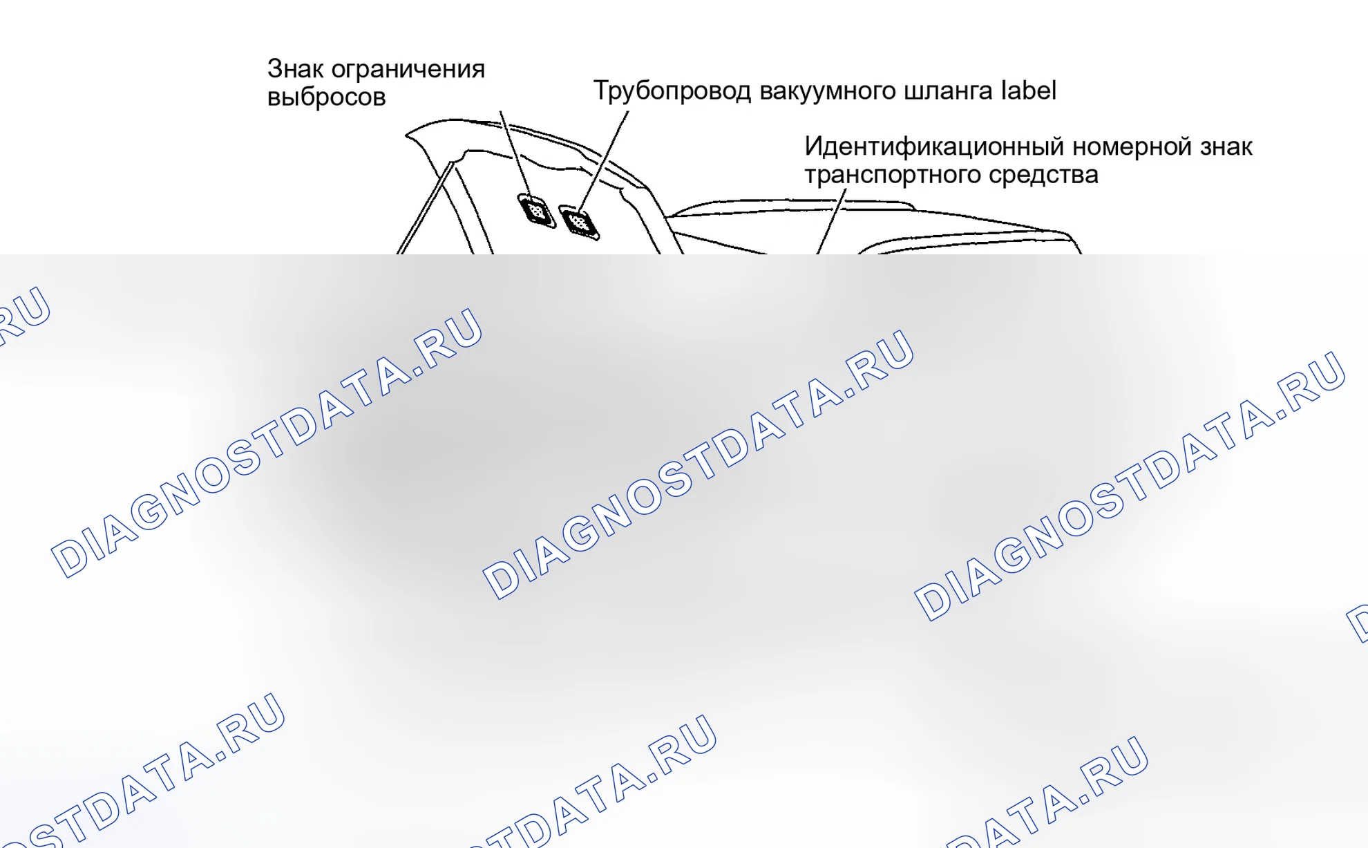 Рис. 1: ИДЕНТИФИКАЦИОННЫЕ НОМЕРА И РАСПОЛОЖЕНИЕ ЭТИКЕТОК. Honda X-NV I