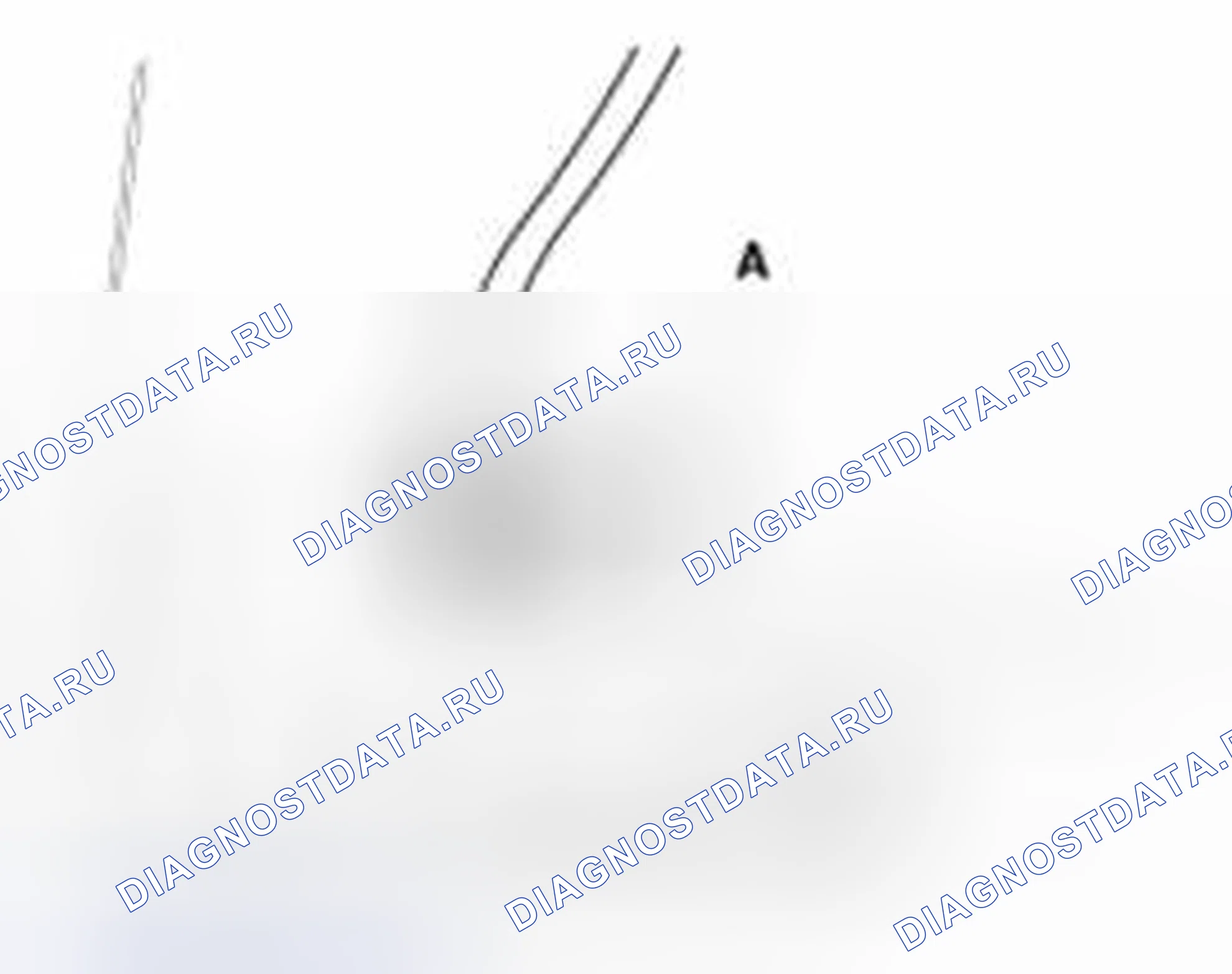 Рис. 26. Haval Beast (Shenshou) I