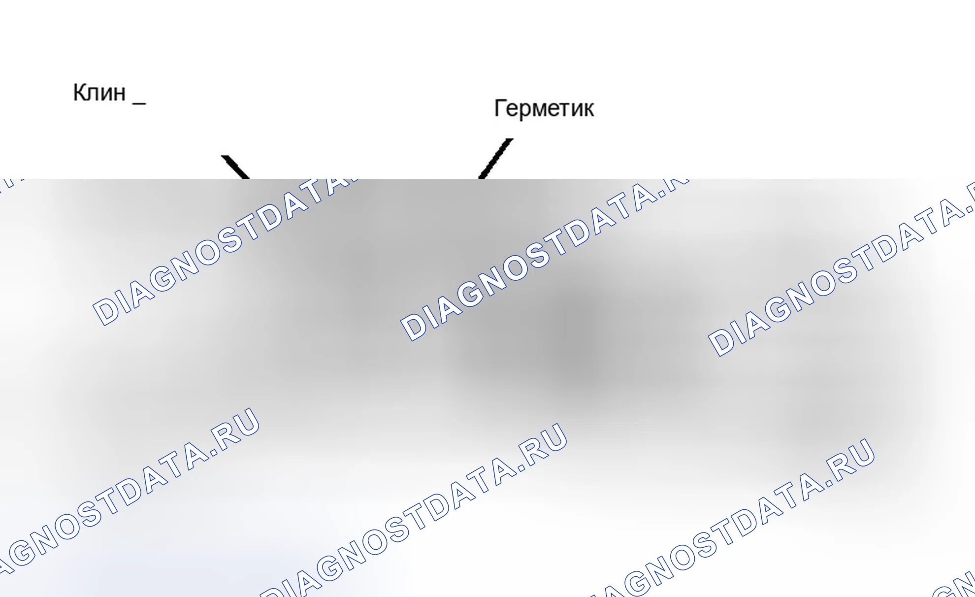 Рис. 50. Dodge Dakota WS 