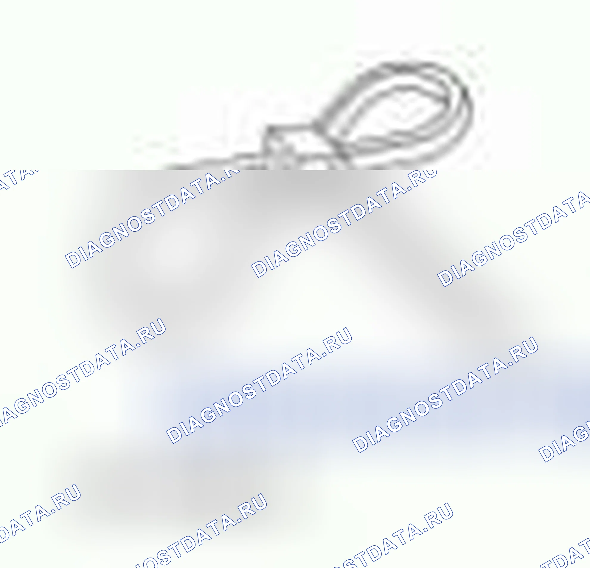 Рис. 433. Hyundai ix55 I