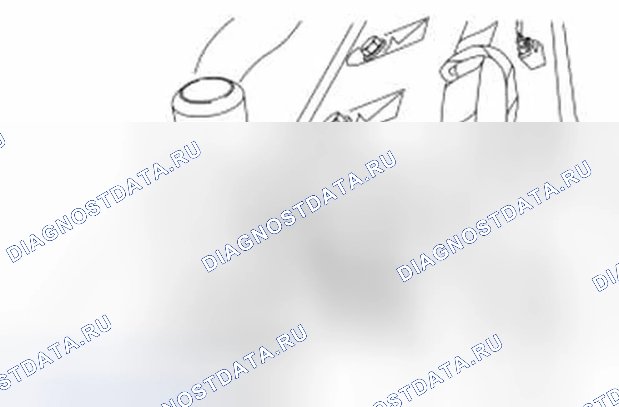 Рис. 2024. Ford Mustang V рестайлинг