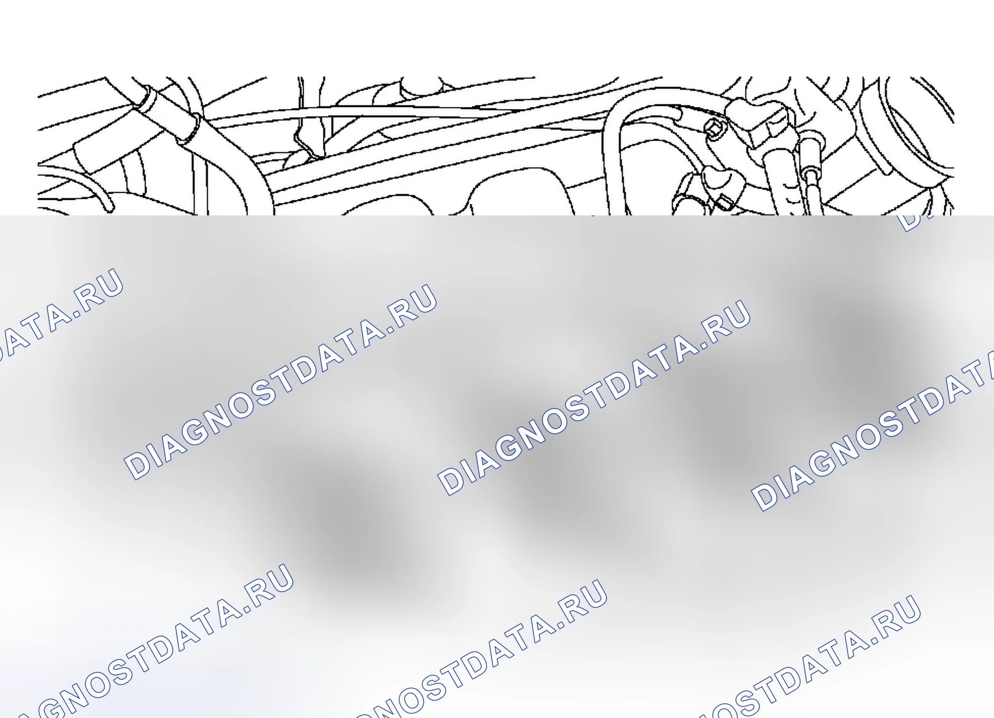 Рис. 1126. Ford Focus I рестайлинг