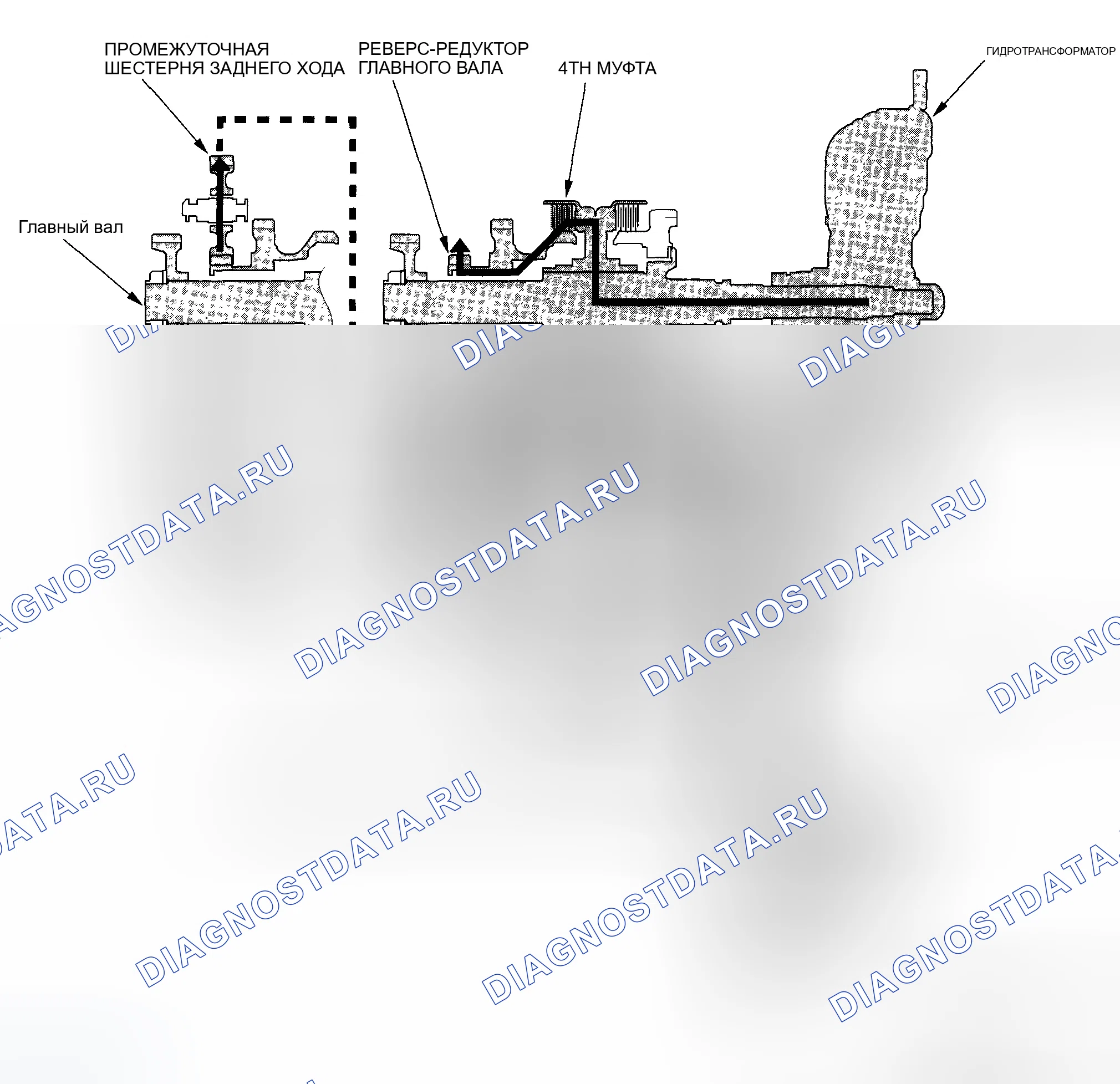 Рис. 385: Положение R. Honda Accord VII