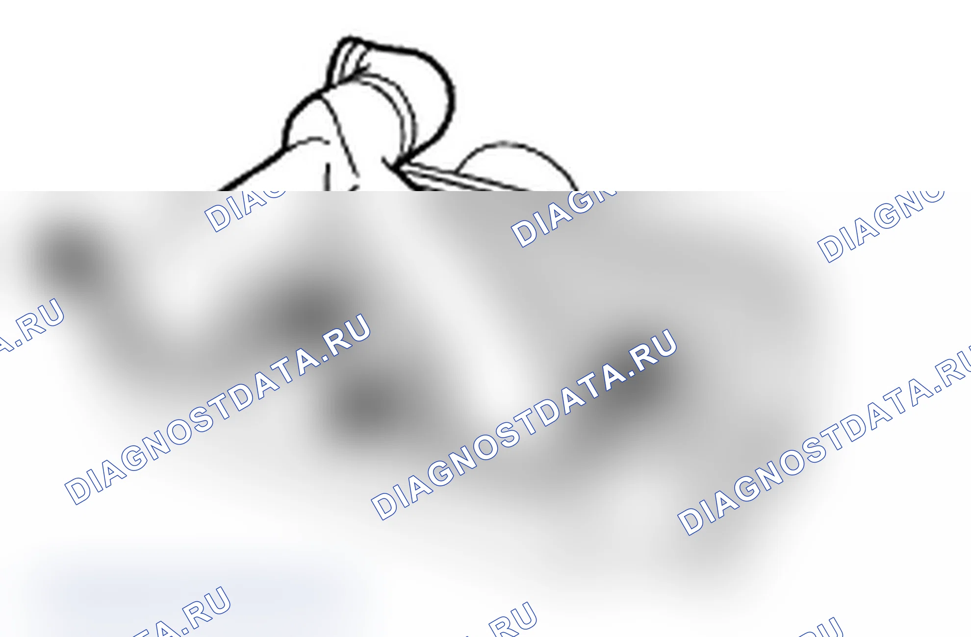 Рис. 486: Расположение каналов промежуточного охладителя. Subaru Impreza WRX GD/GG рестайлинг 2