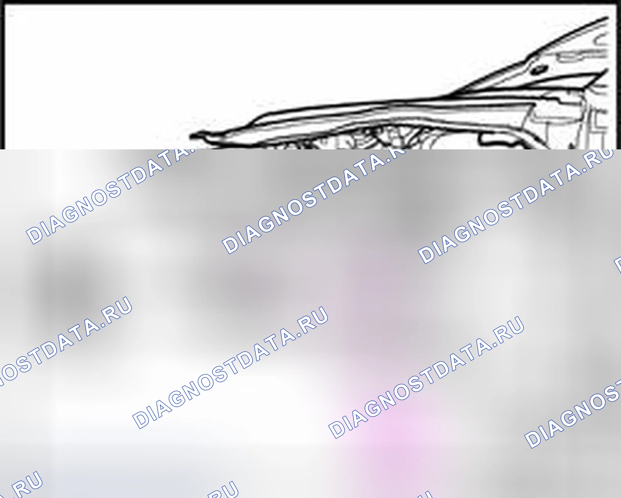 Рис. 53. Audi A8 D3 рестайлинг