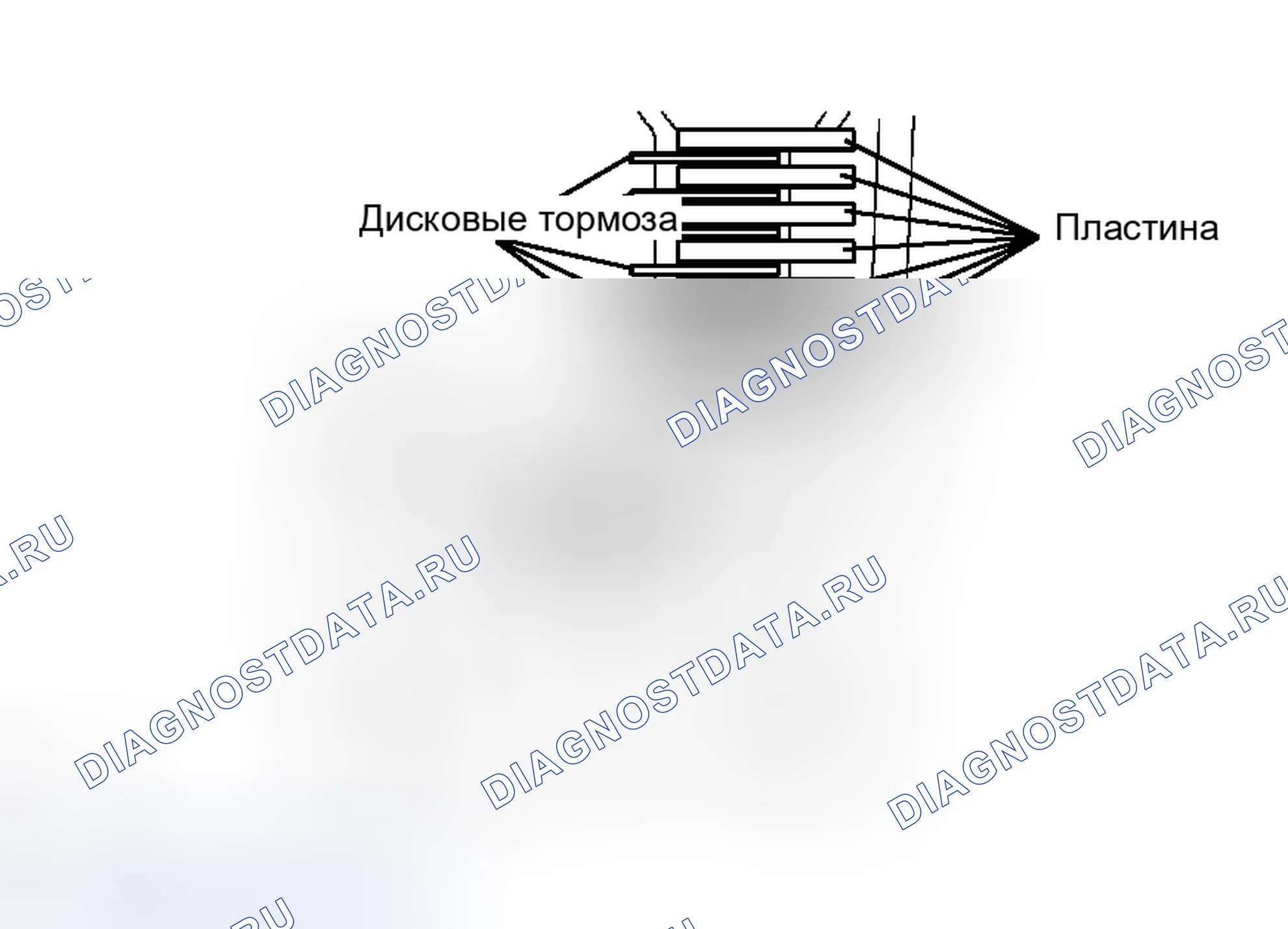 Рис. 304. Toyota Avalon XX30