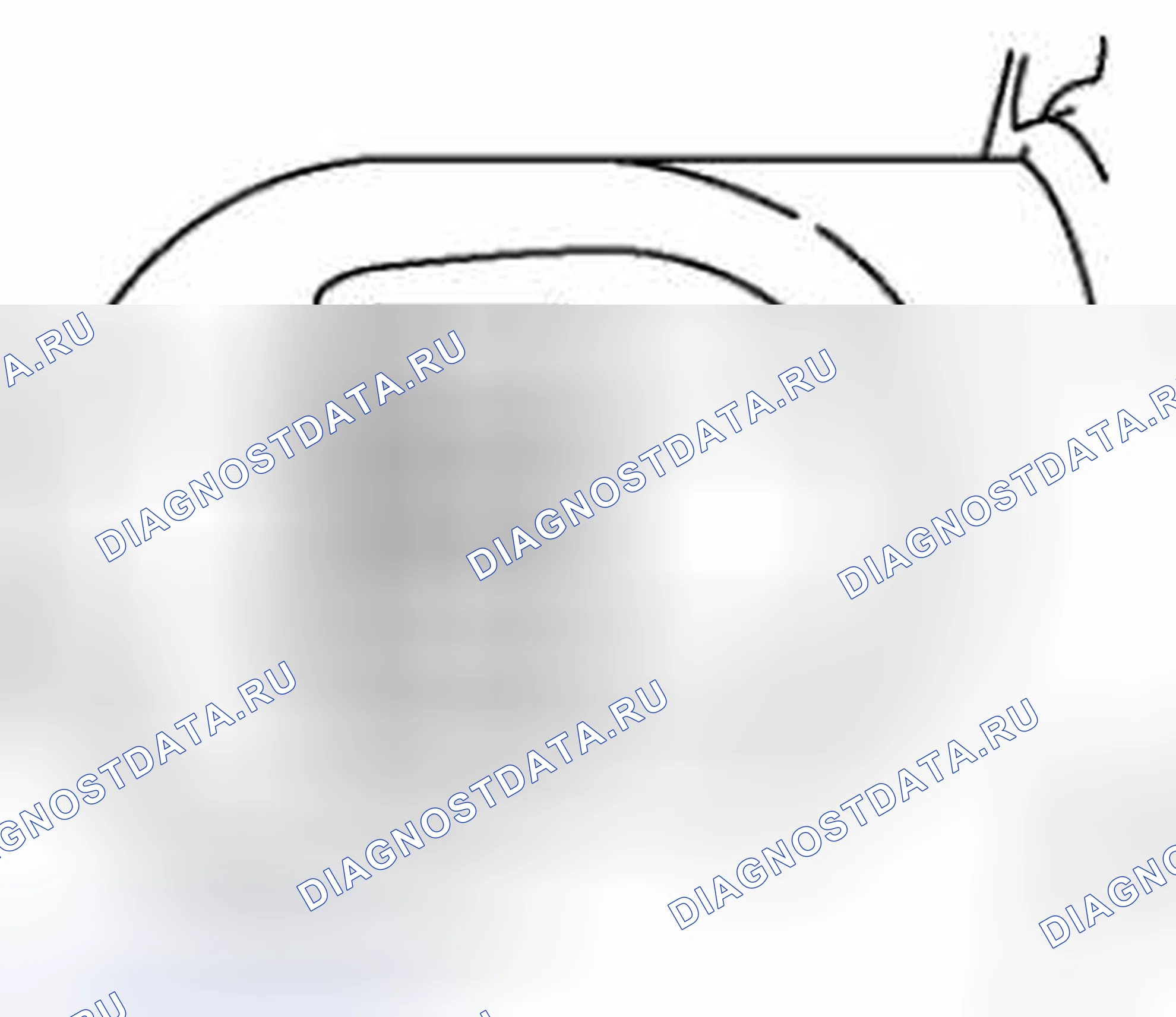 Рис. 11. Honda Civic IX рестайлинг