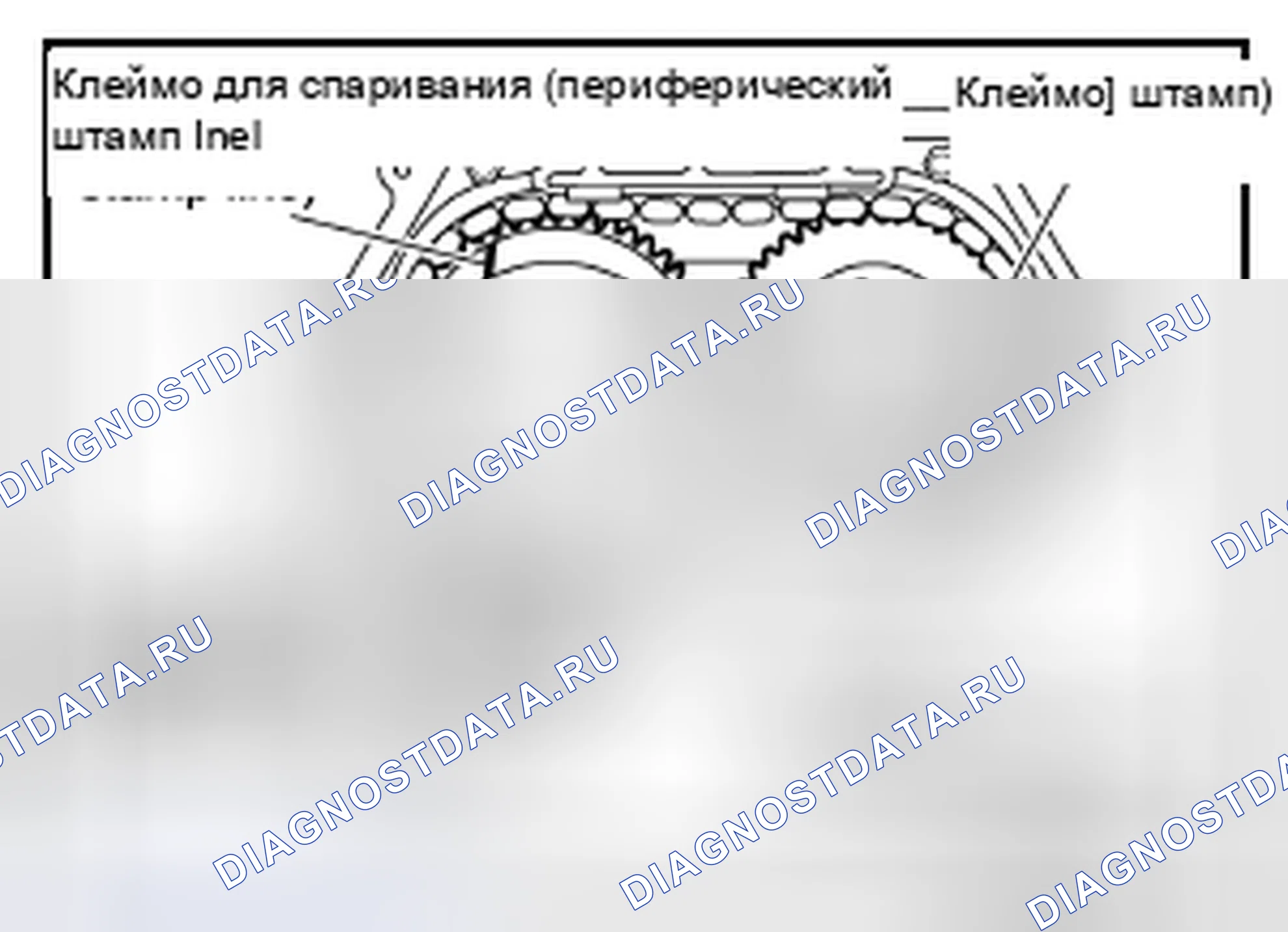 Рис. 549. Nissan Altima L33