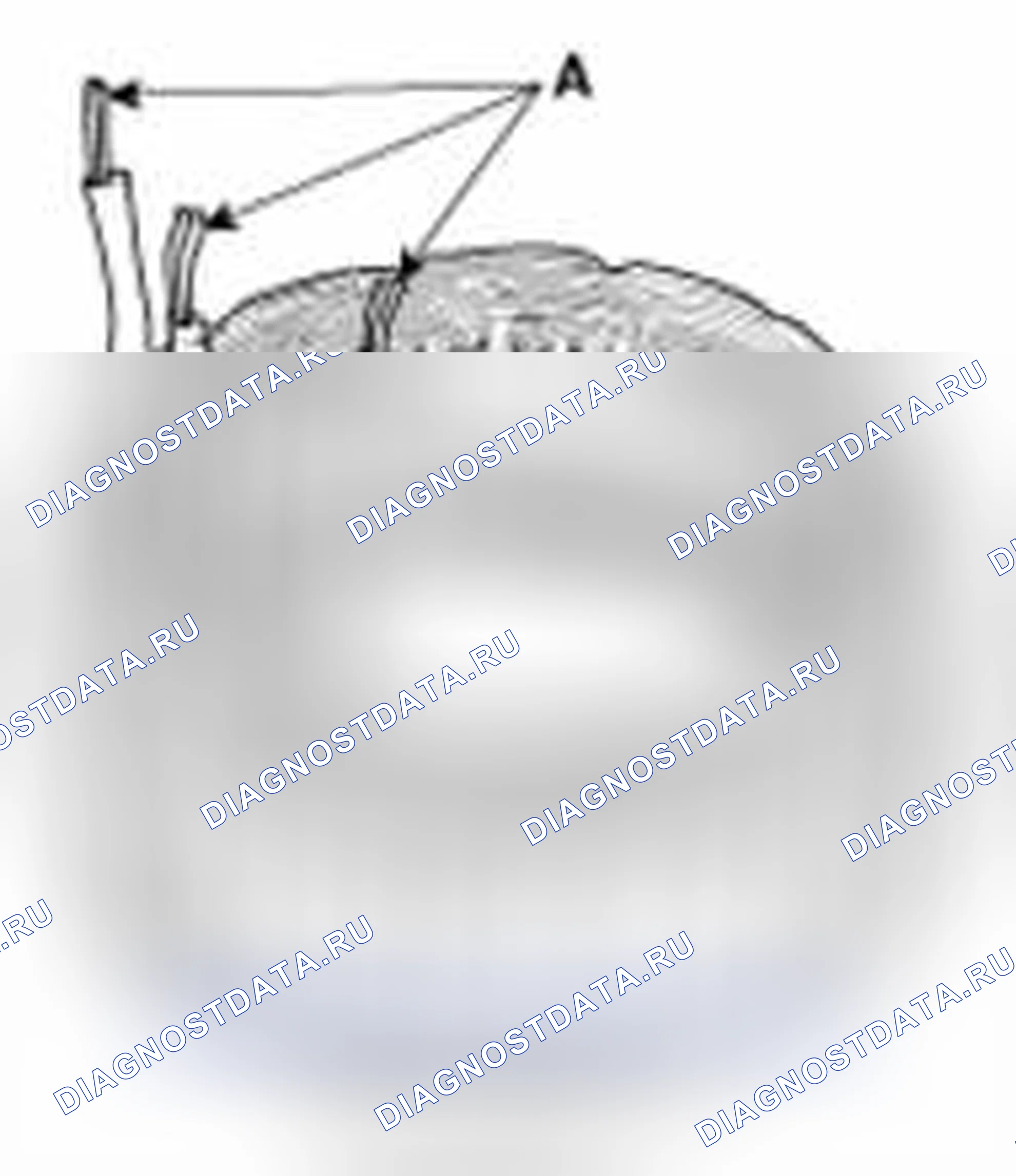 Рис. 57: Проверка статора. Geely SC7 I