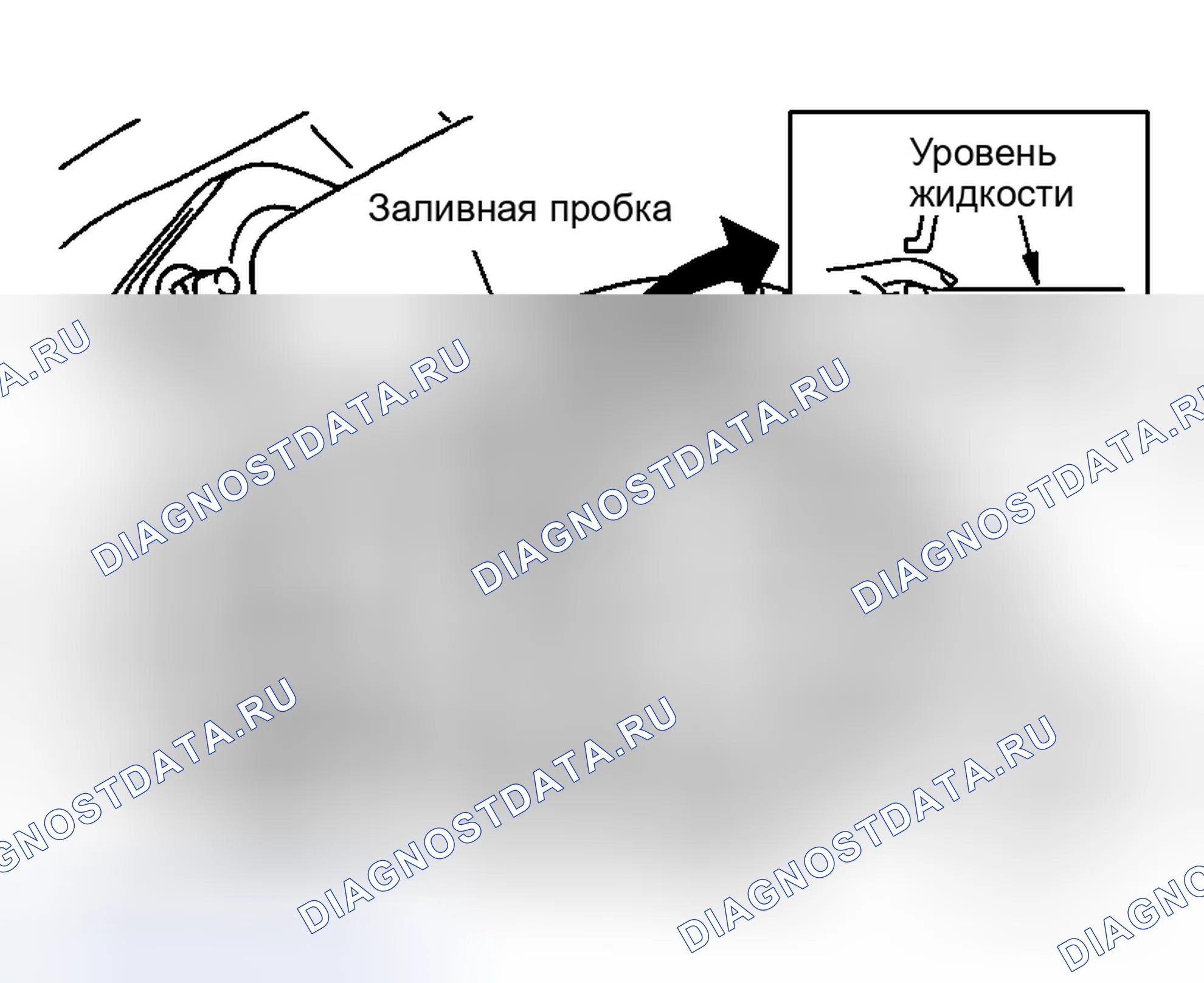 Рис. 23: ЗАПОЛНЕНИЕ. Honda N-WGN I