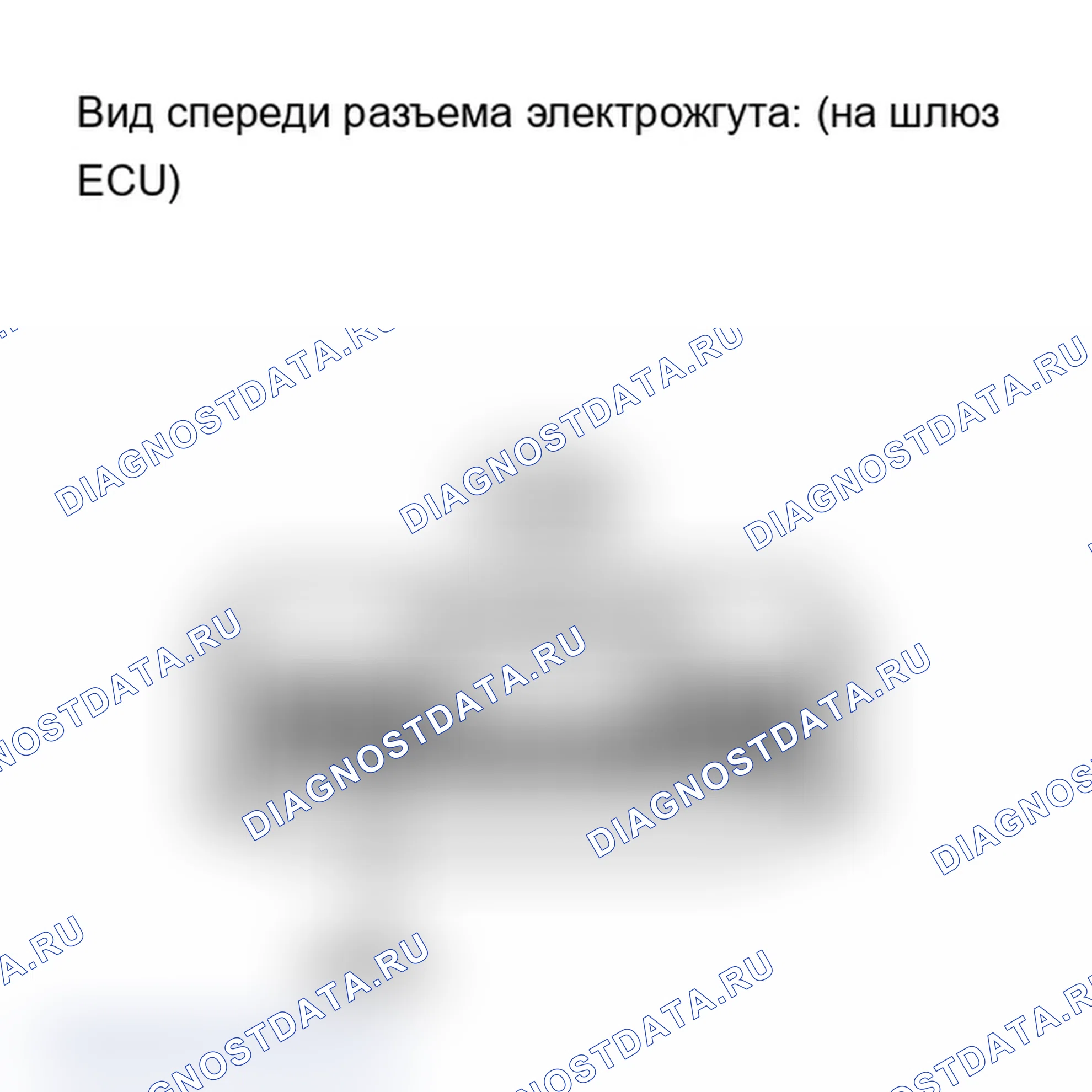 Рис. 172. Lexus IS F I