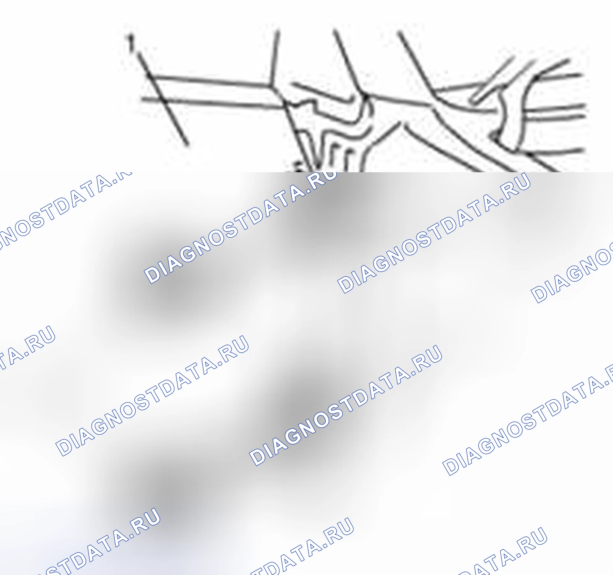 Рис. 28. Suzuki SX4 I рестайлинг