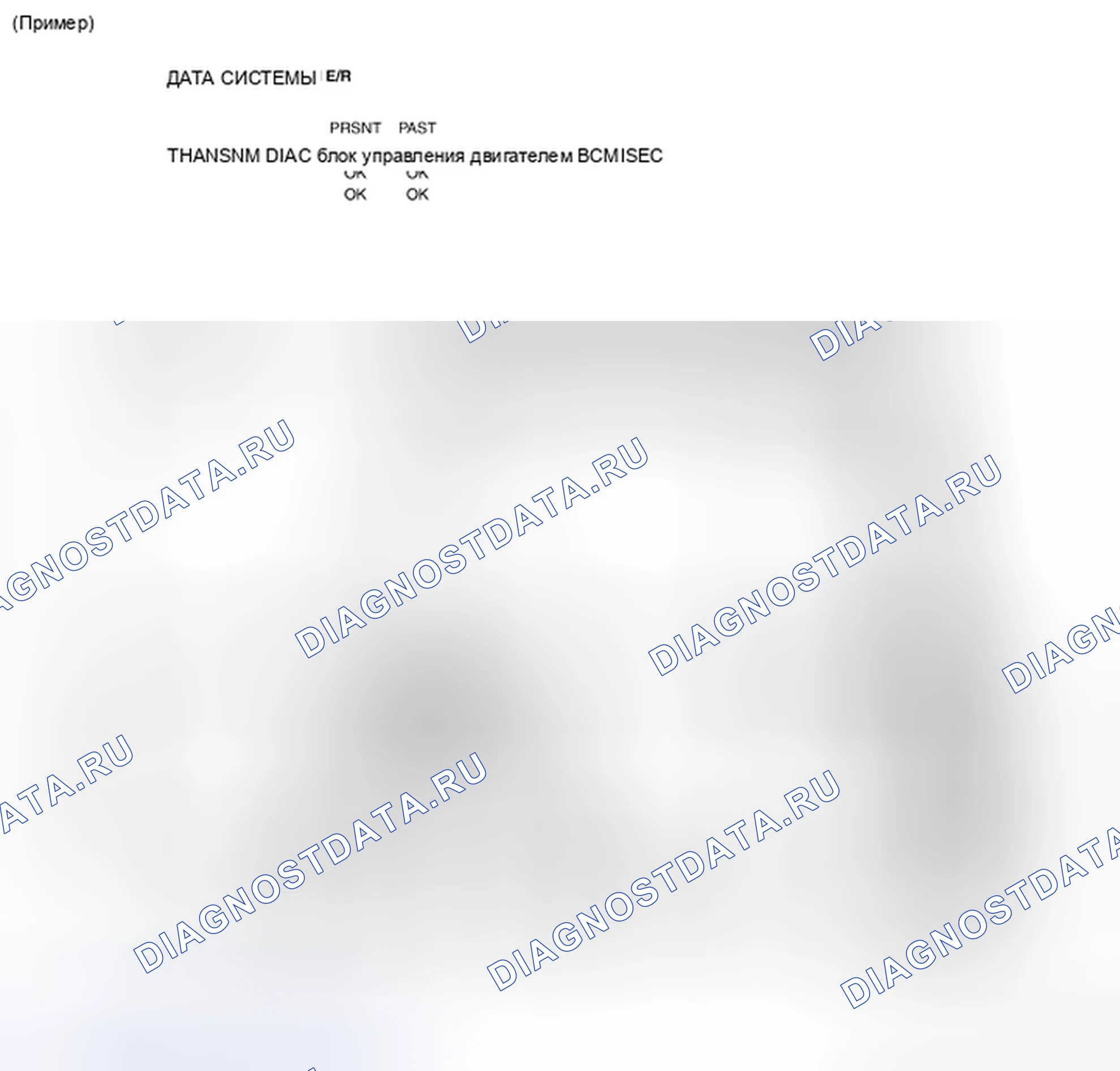 Рис. 134. Nissan Frontier D40