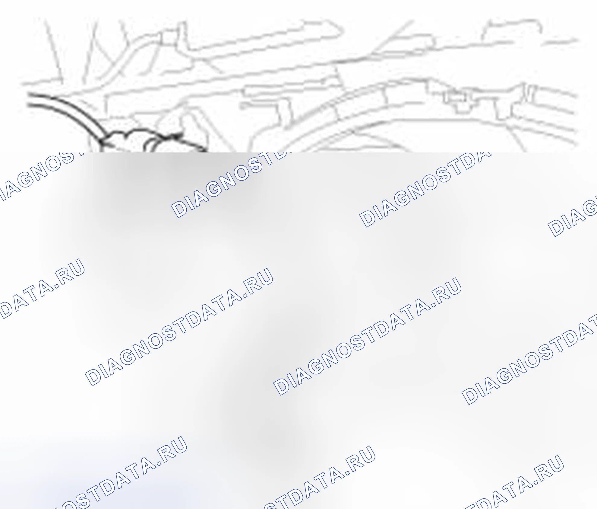 Рис. 16. Haval Beast (Shenshou) I