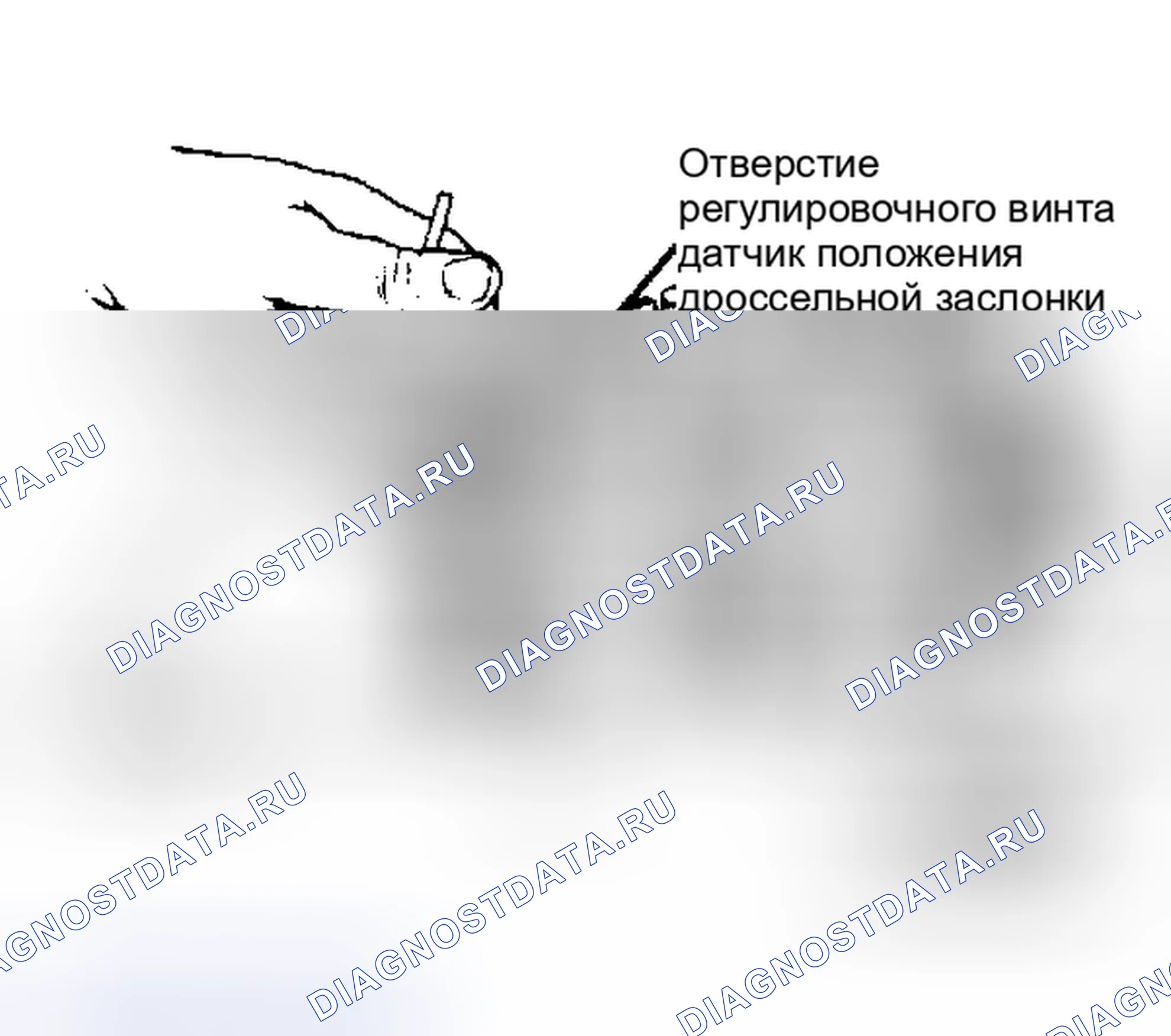 Рис. 2: Место регулировки датчик положения дроссельной заслонки для E2ME и E4ME. Pontiac Grand Prix IV