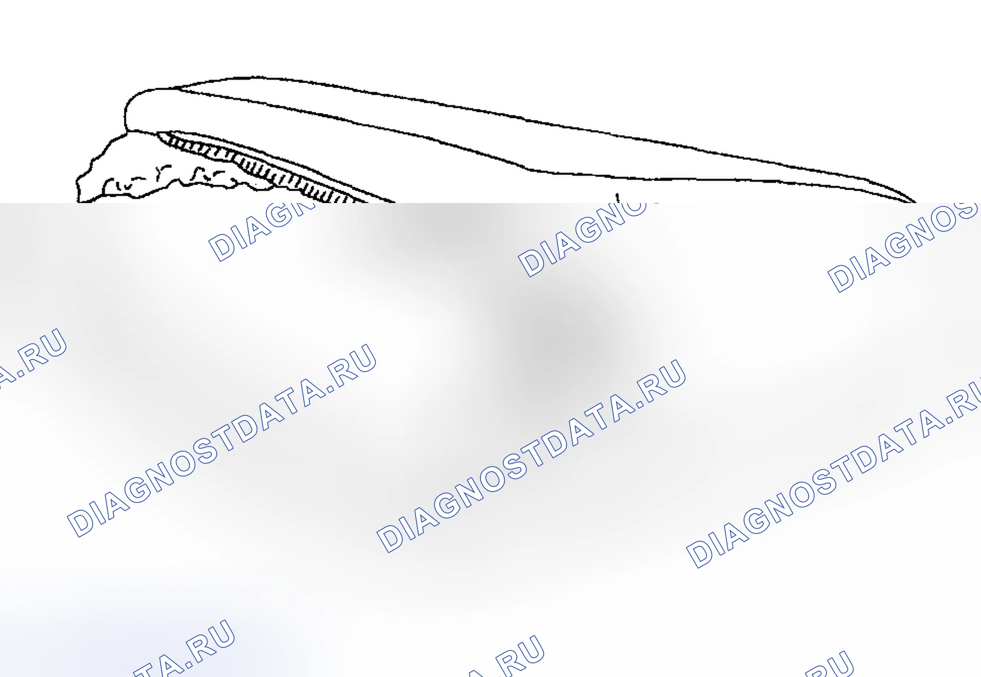Рис. 387. Ford Pickup F250 Super Duty I