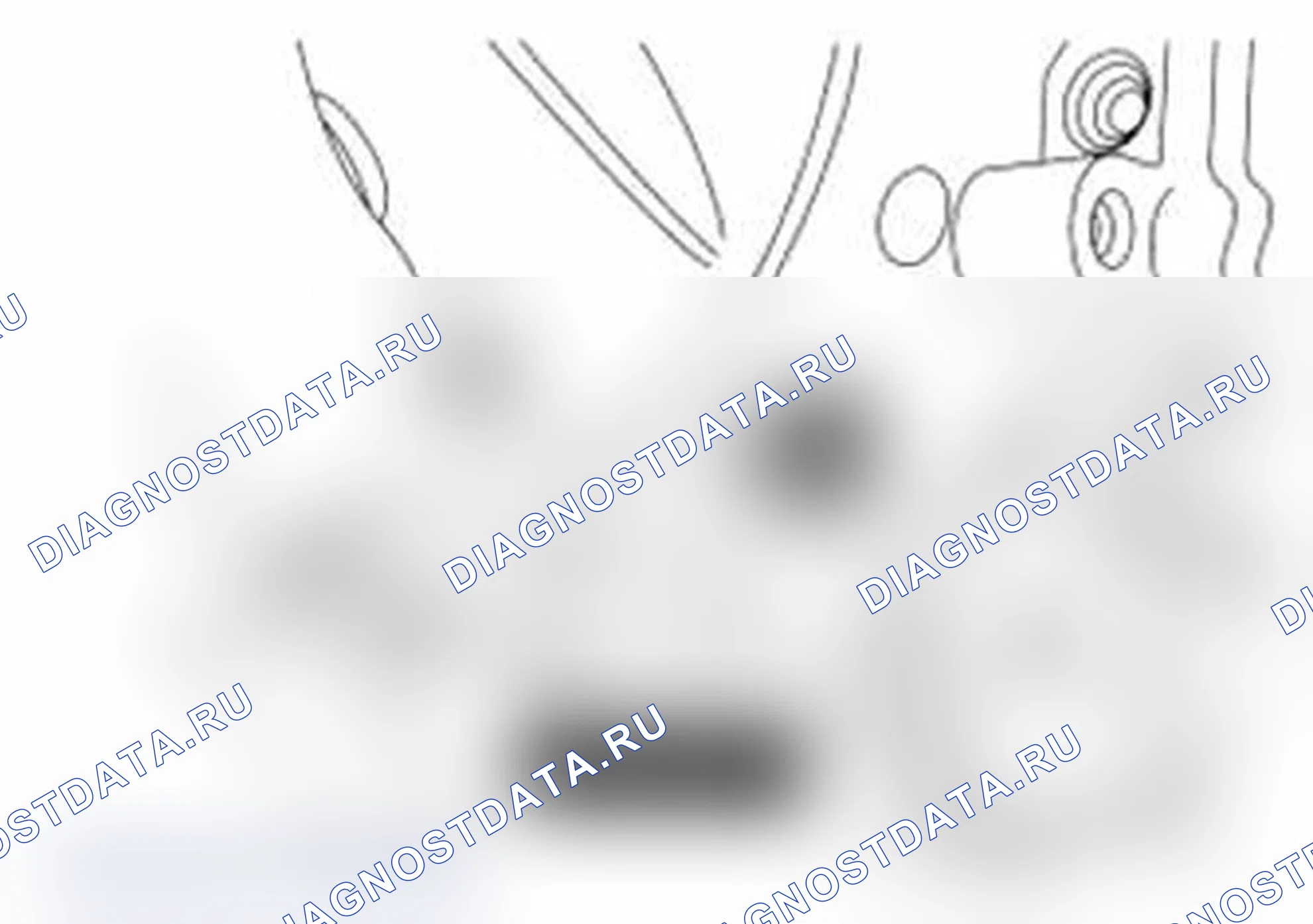 Рис. 131. Ford Transit Connect I рестайлинг