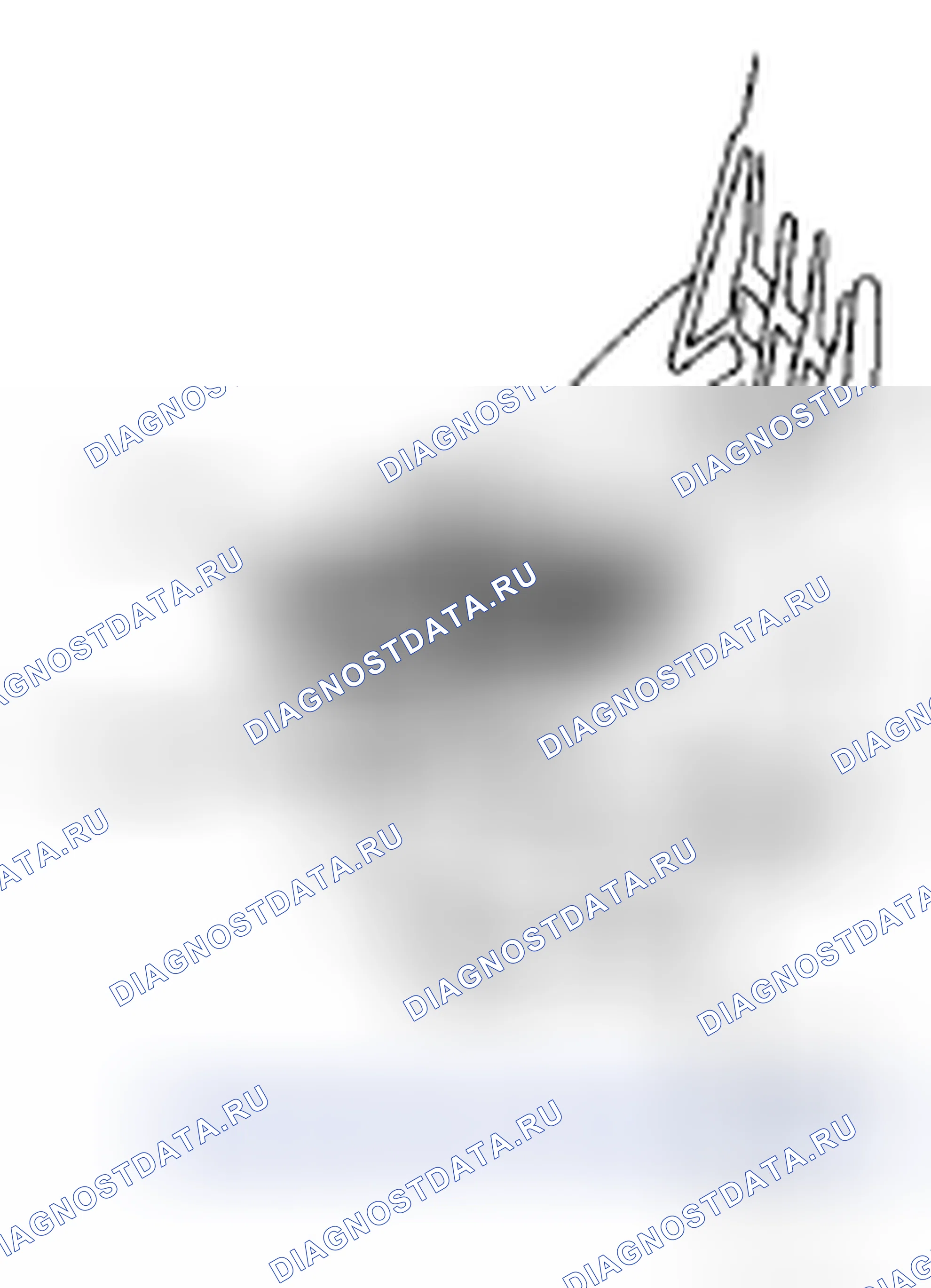 Рис. 9. Acura CSX I